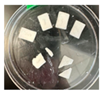 Pharmaceutics 17 00183 i002 Pharmaceutics 17 00183 i002