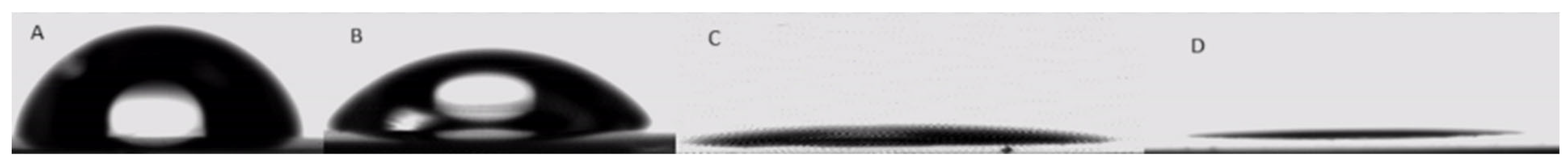 Pharmaceutics 17 00192 g010