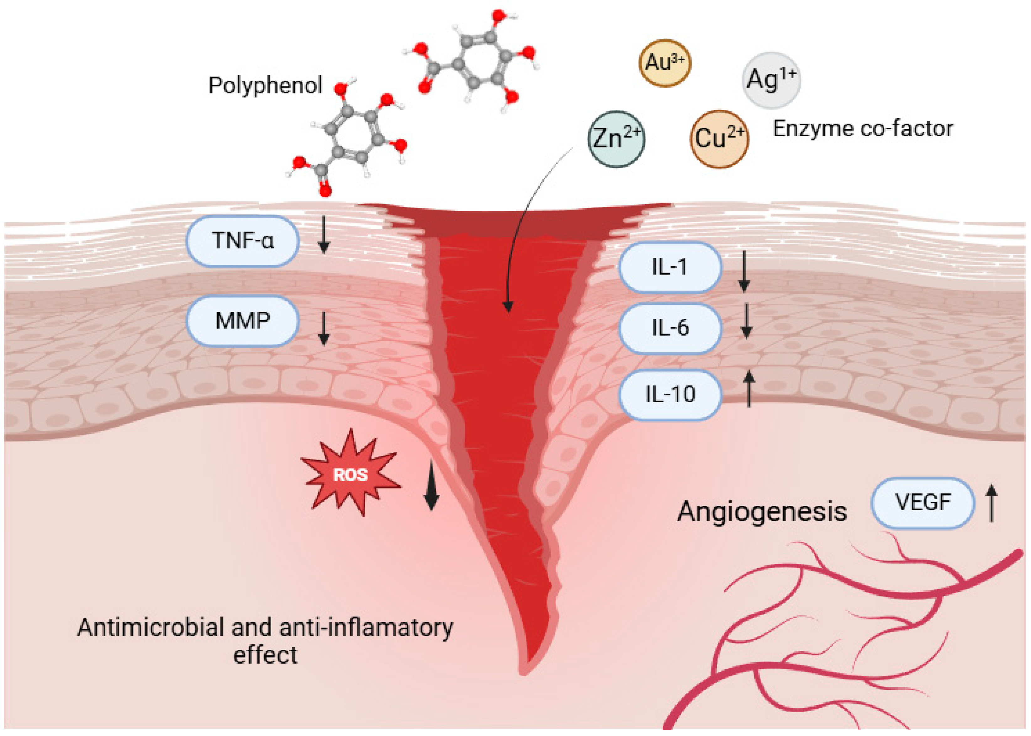 Pharmaceutics 17 00194 g003