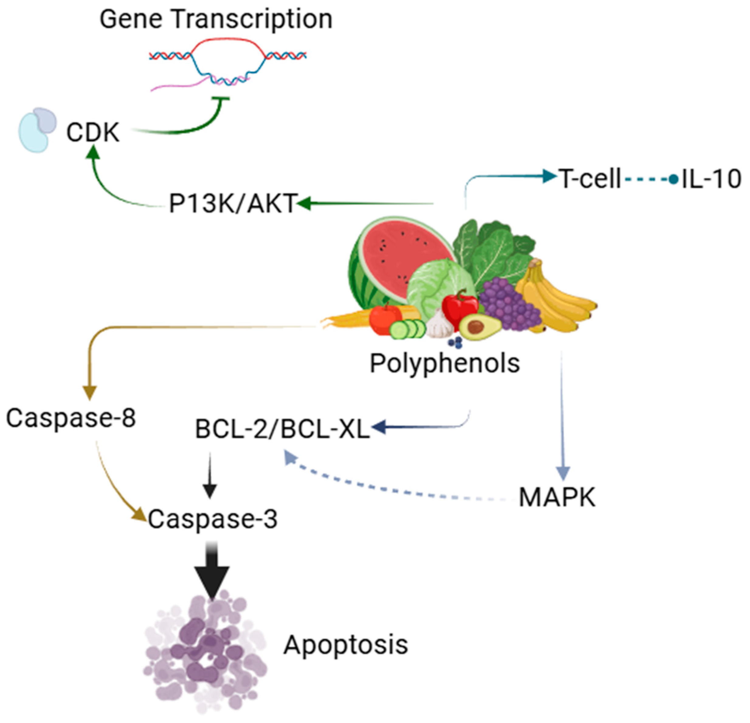Pharmaceutics 17 00194 g004