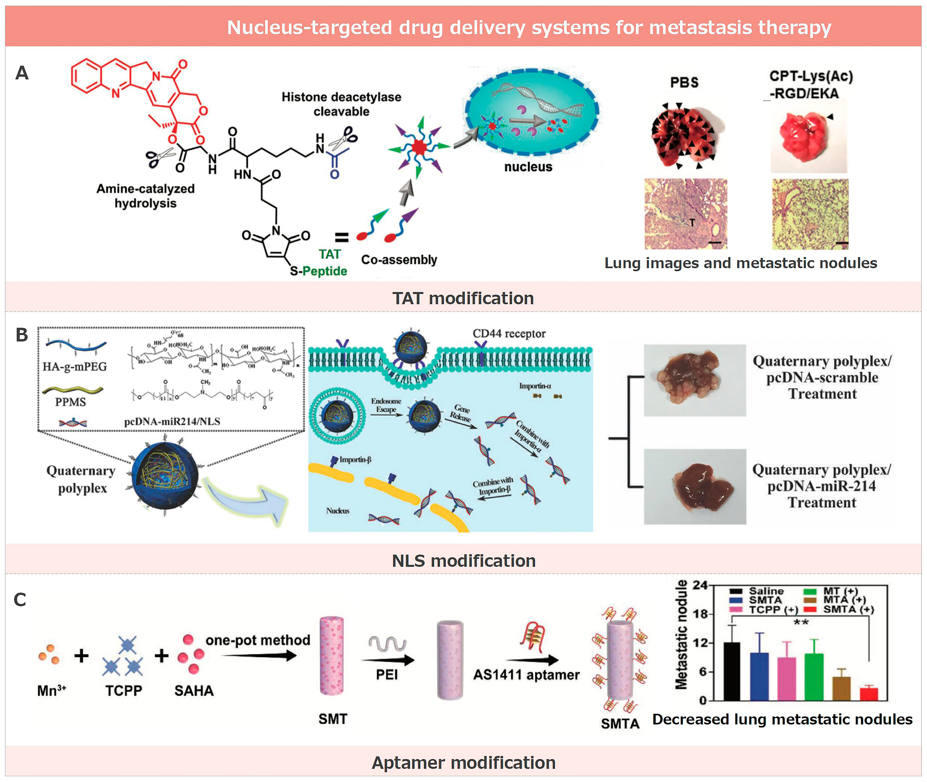 Pharmaceutics 17 00198 g002