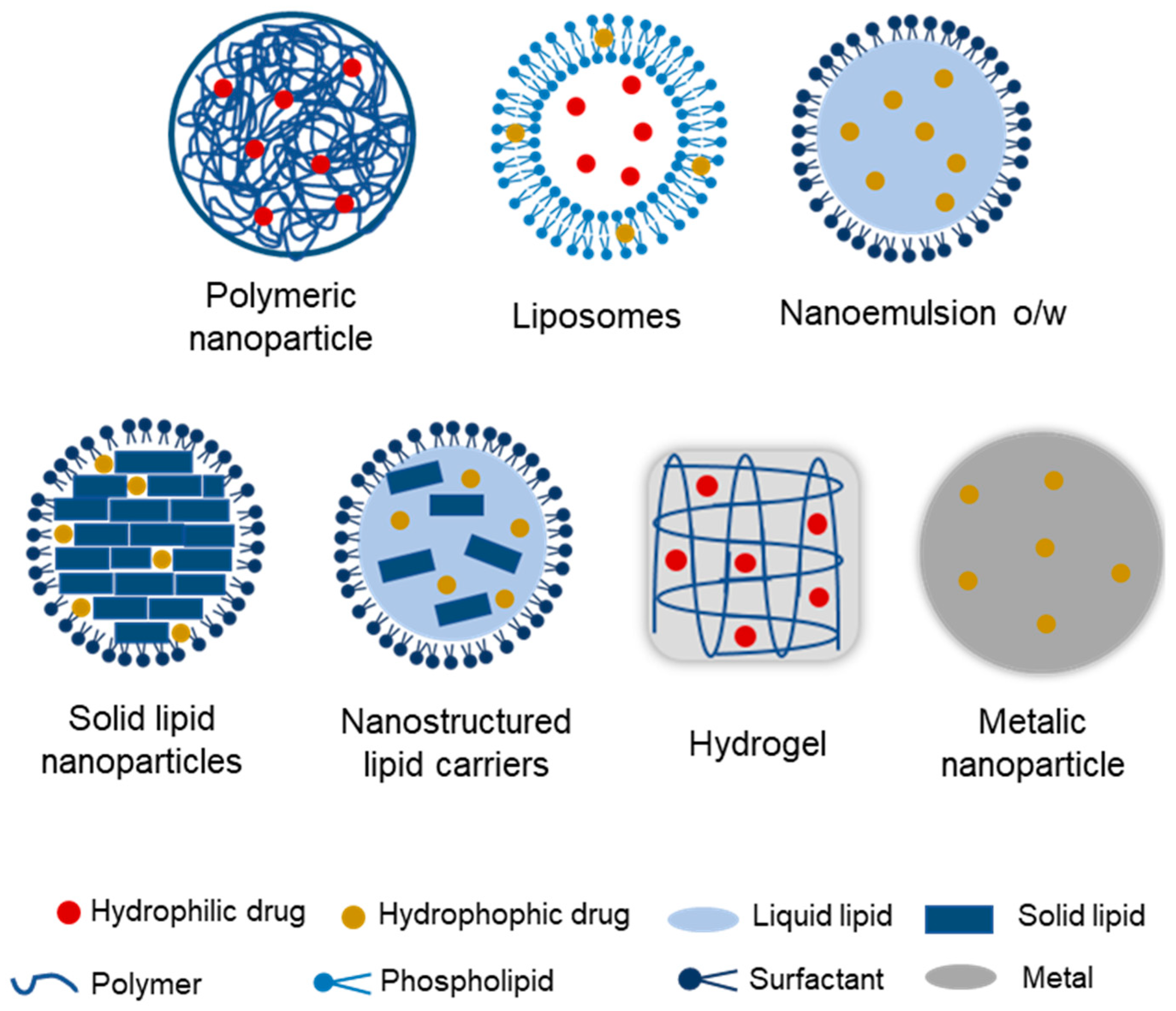 Pharmaceutics 17 00205 g002 Pharmaceutics 17 00205 g002