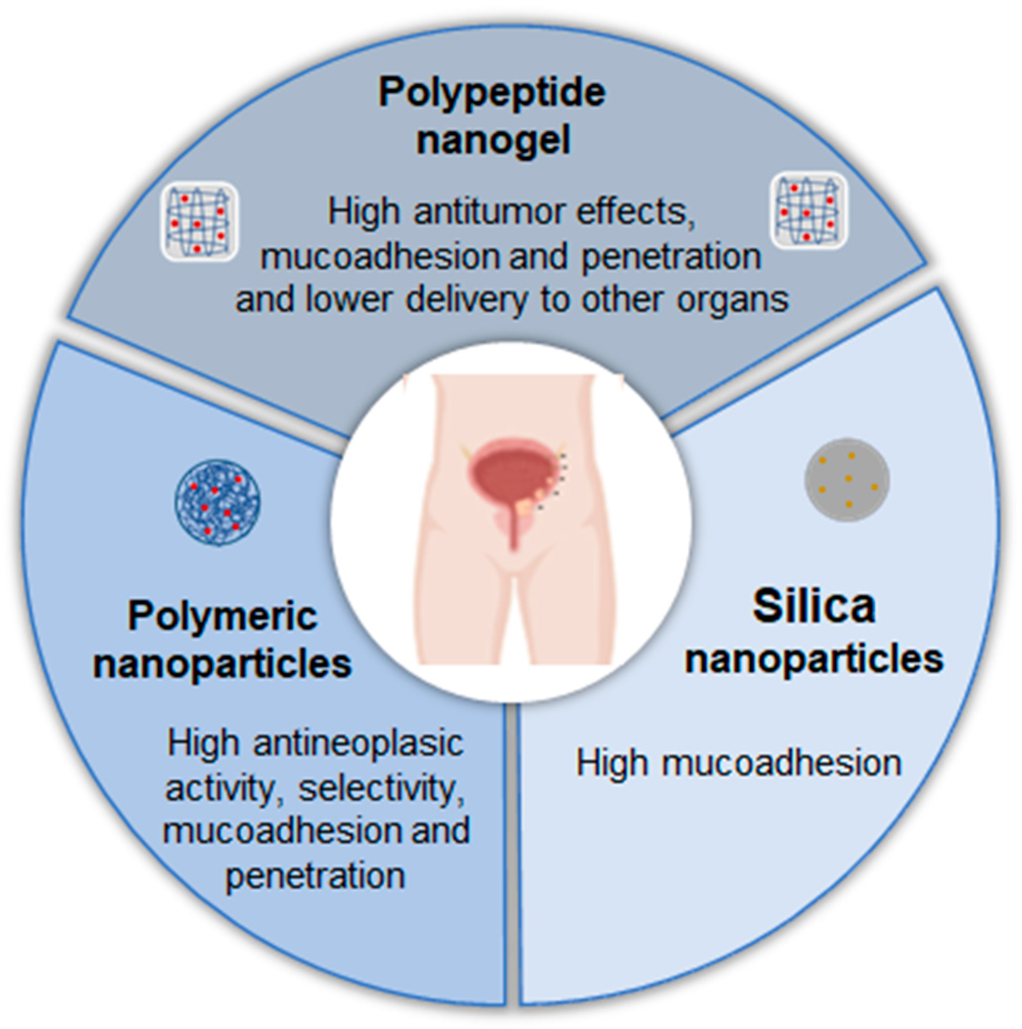 Pharmaceutics 17 00205 g003 Pharmaceutics 17 00205 g003