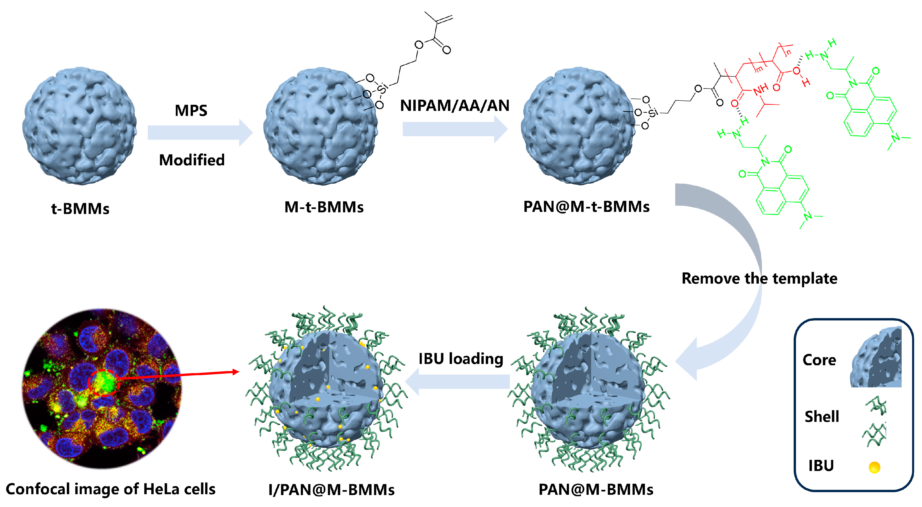 Pharmaceutics 17 00206 sch001 Pharmaceutics 17 00206 sch001
