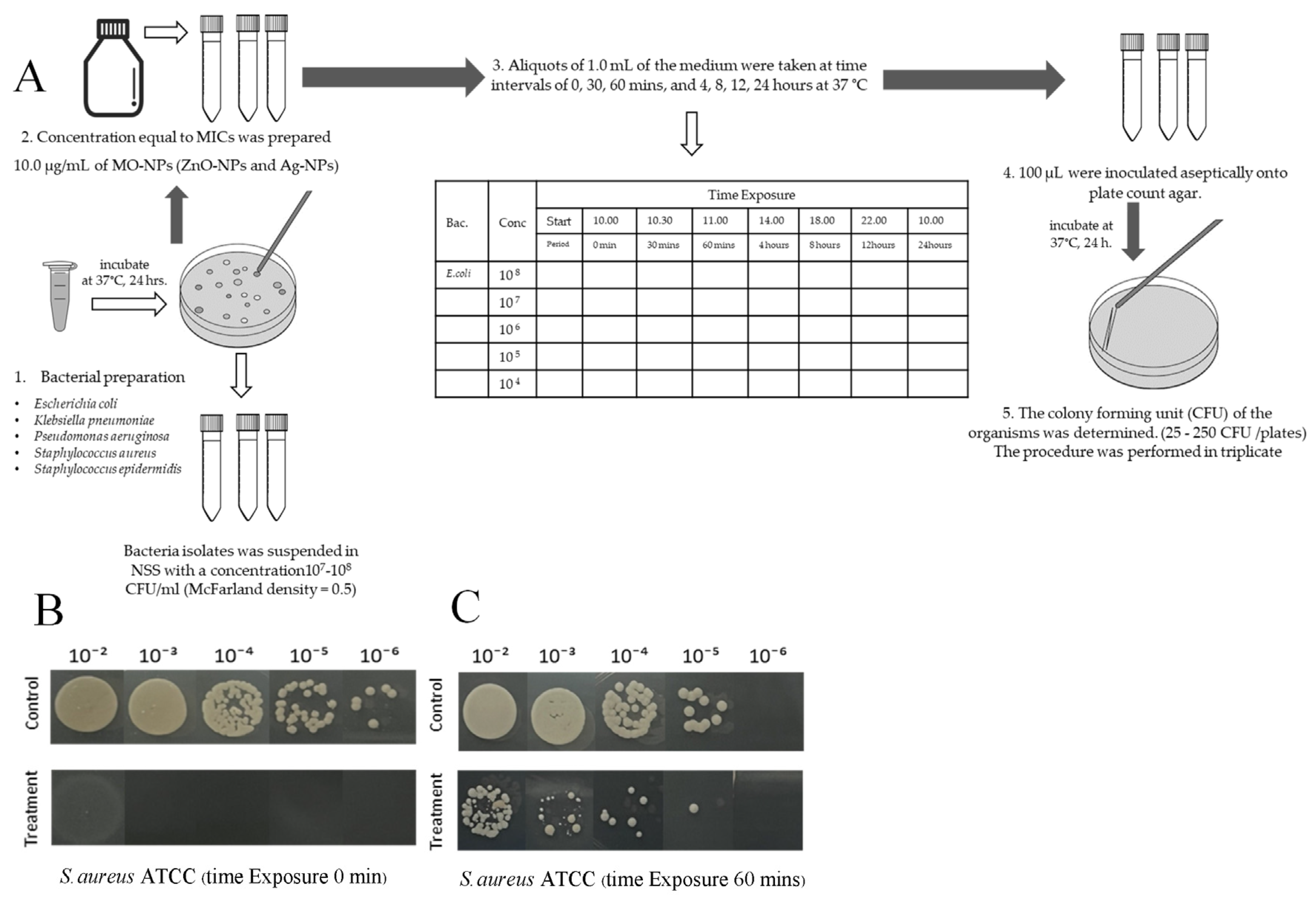 Pharmaceutics 17 00209 g002