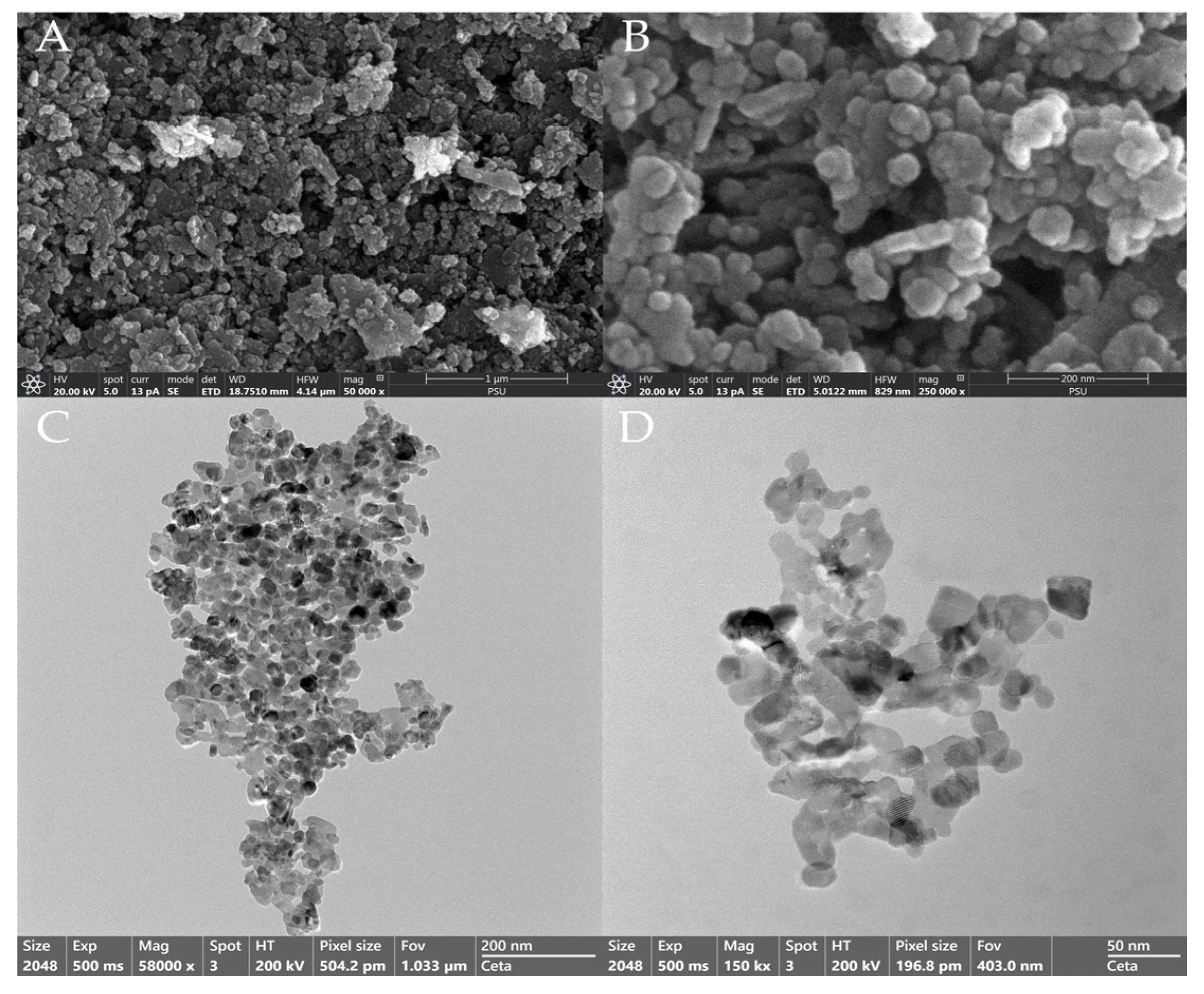 Pharmaceutics 17 00209 g003
