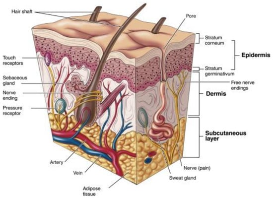 Pharmaceutics 17 00229 g003