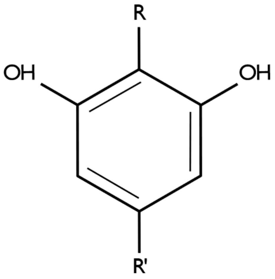 Pharmaceutics 17 00236 g001