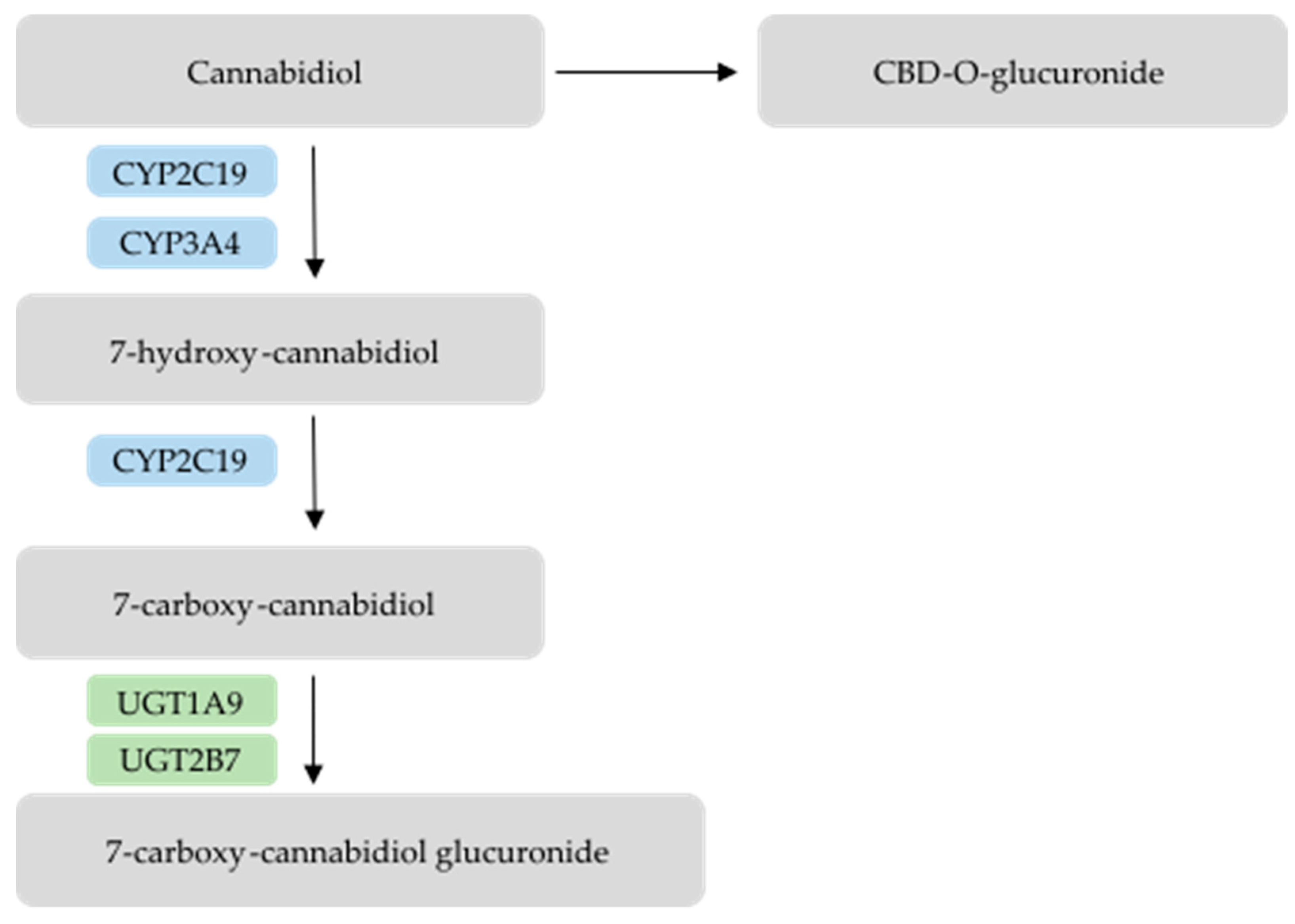 Pharmaceutics 17 00236 g002