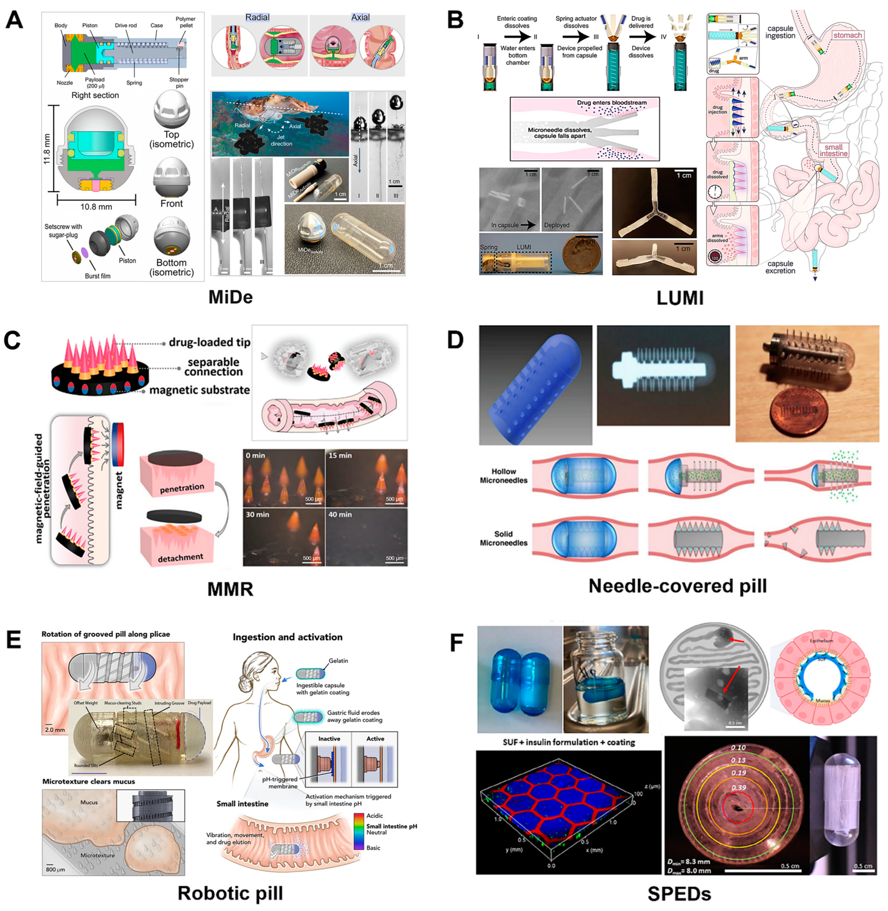 Pharmaceutics 17 00238 g002