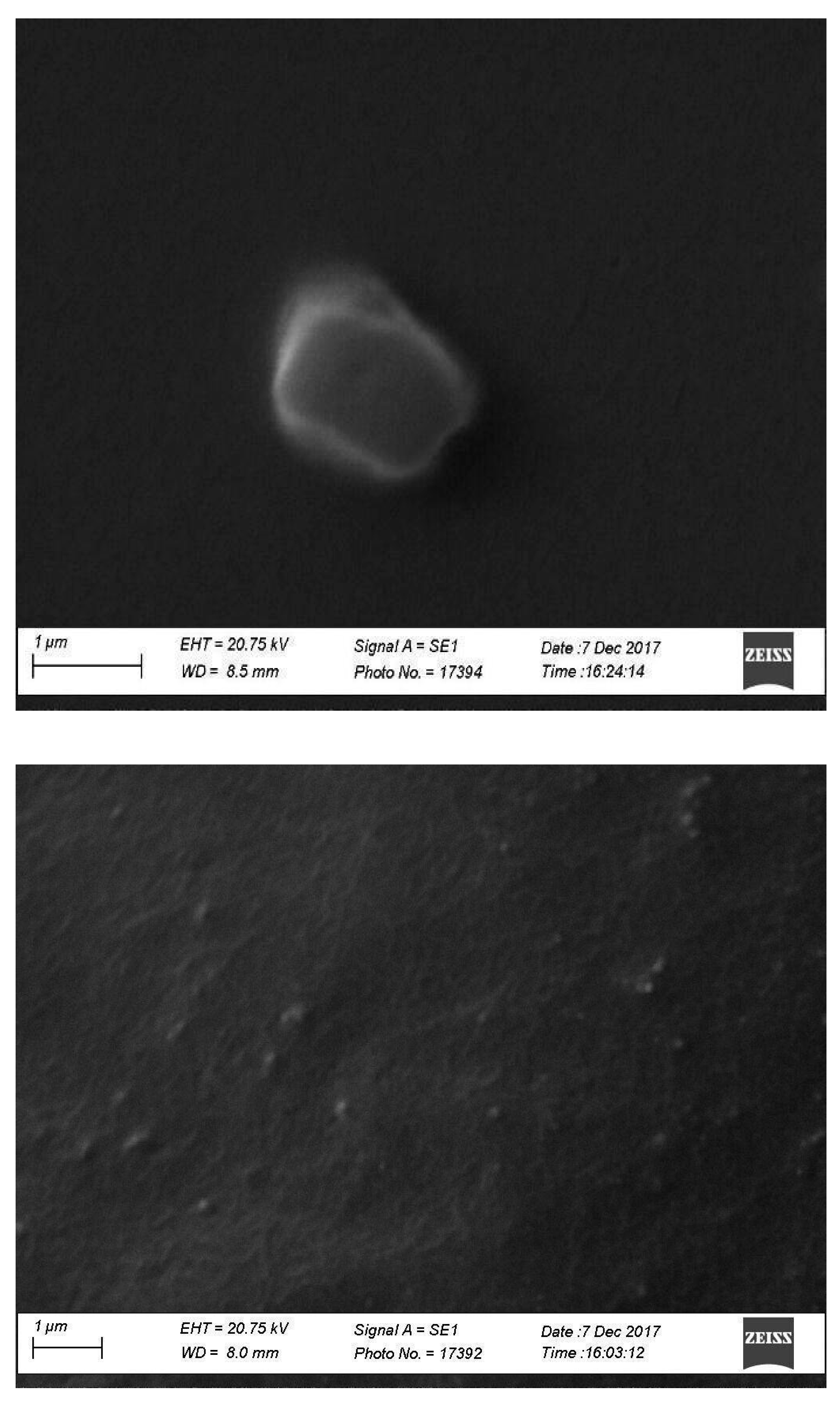 Pharmaceutics 17 00239 g001