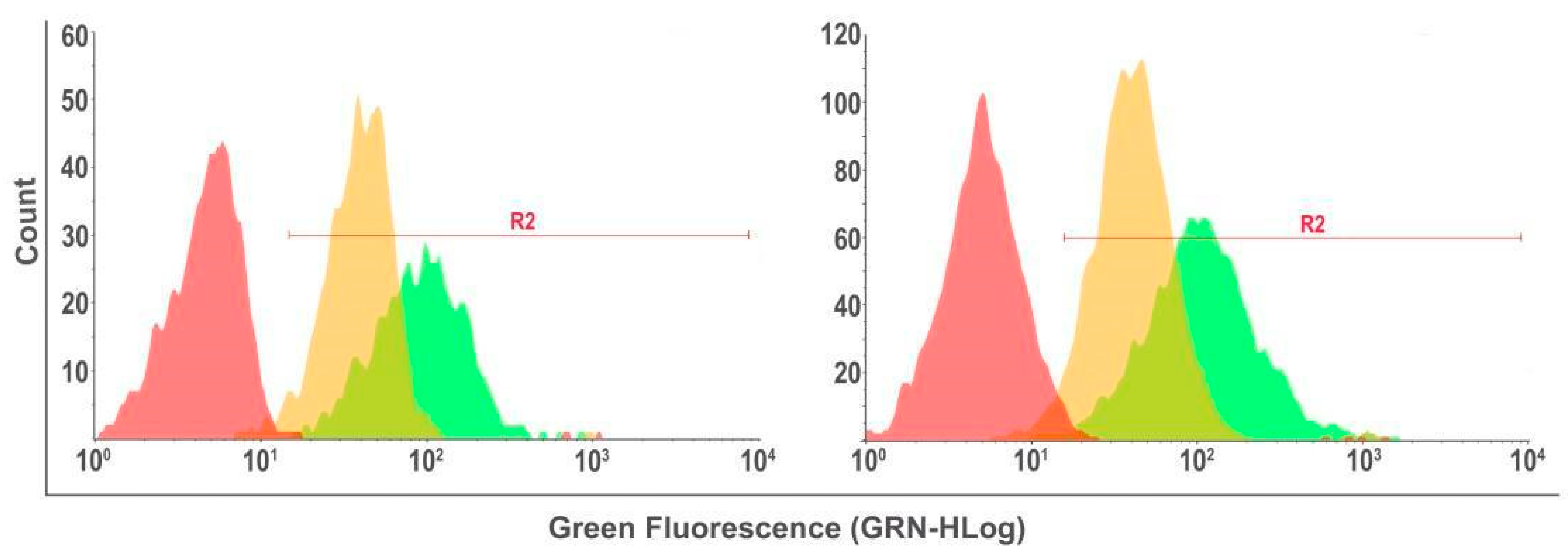 Pharmaceutics 17 00239 g011