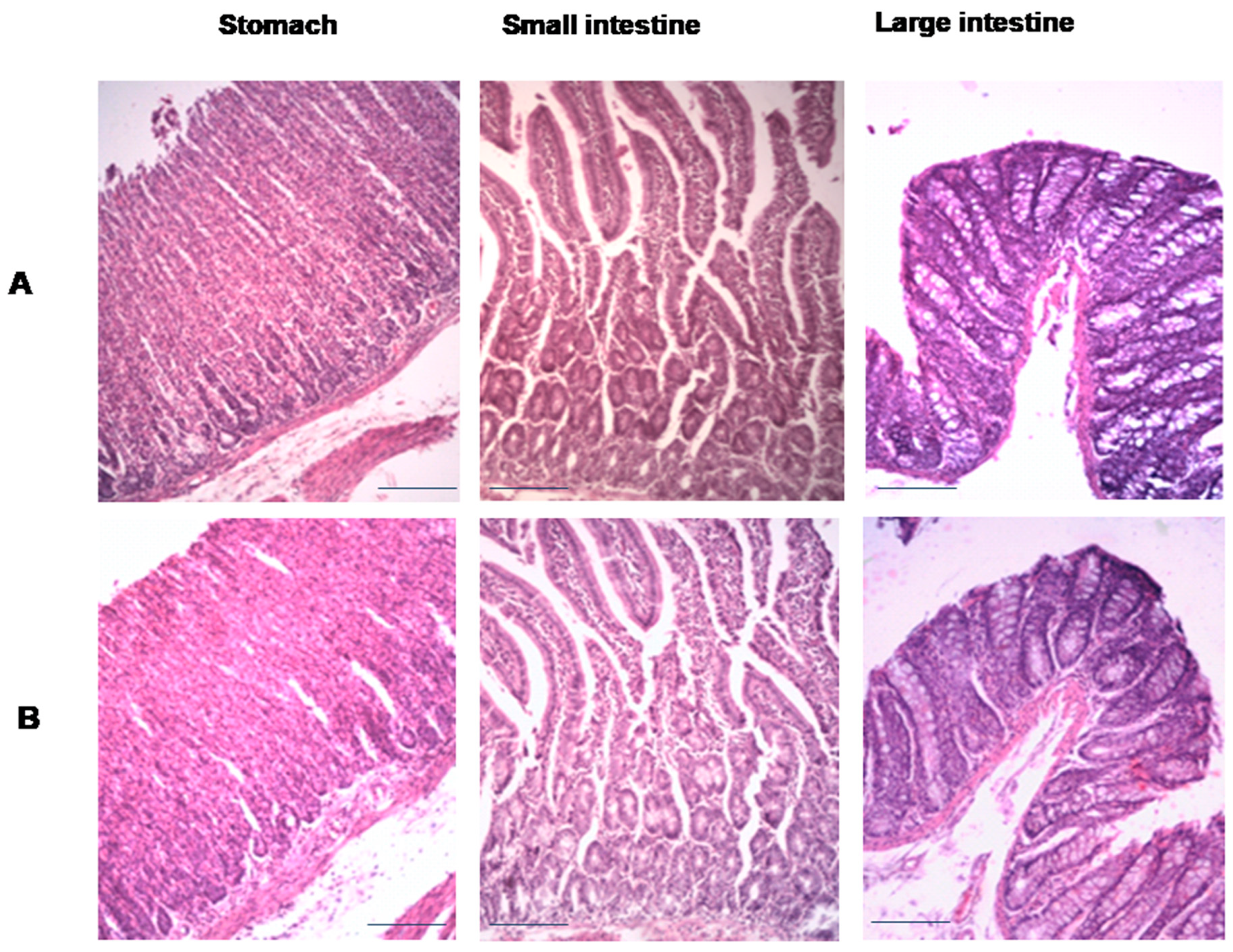 Pharmaceutics 17 00241 g008