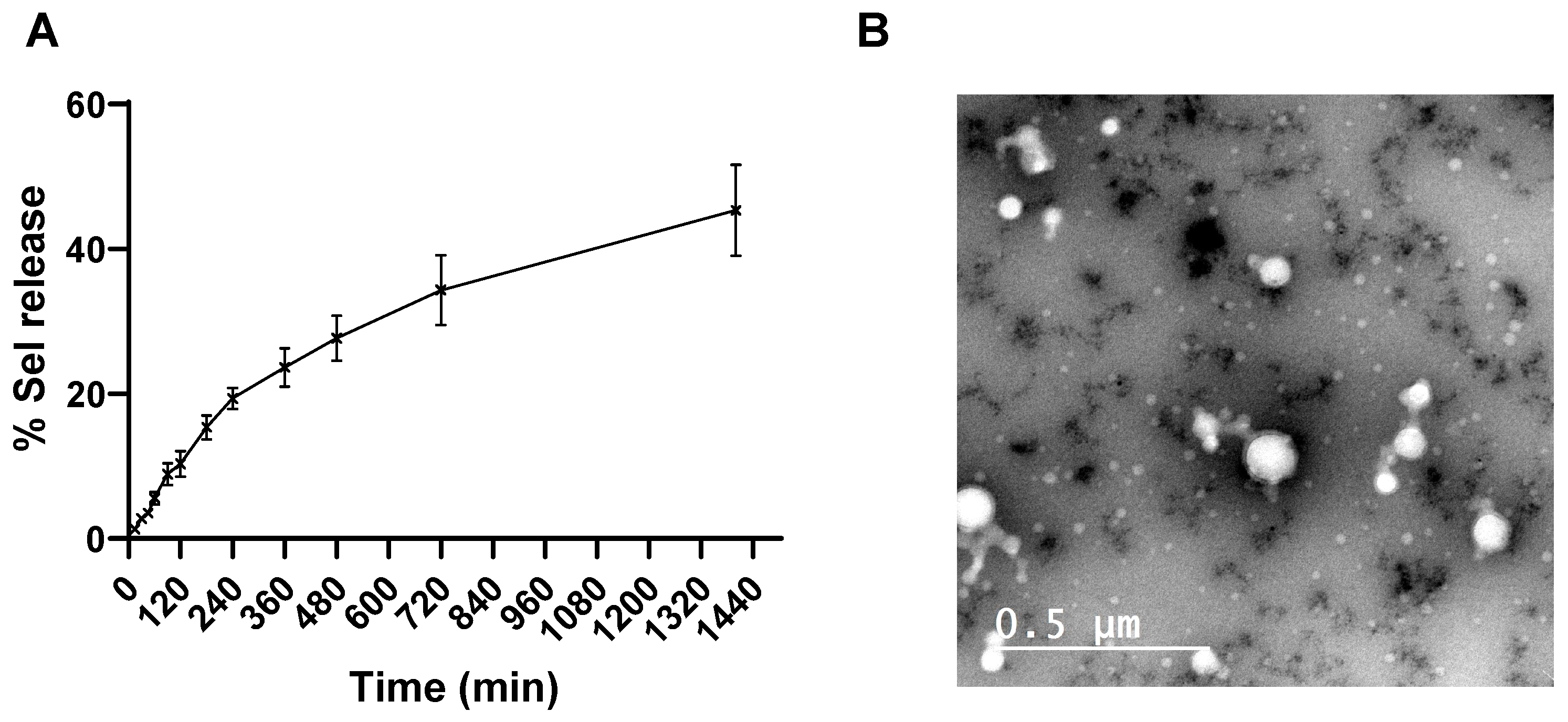 Pharmaceutics 17 00243 g004