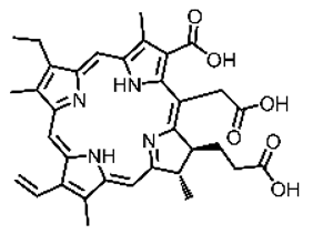 Pharmaceutics 17 00244 i005