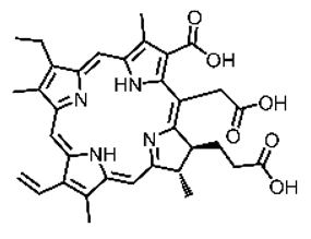 Pharmaceutics 17 00244 i013