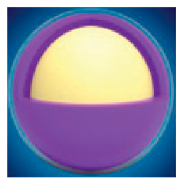 Pharmaceutics 17 00244 i020