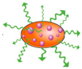 Pharmaceutics 17 00244 i024