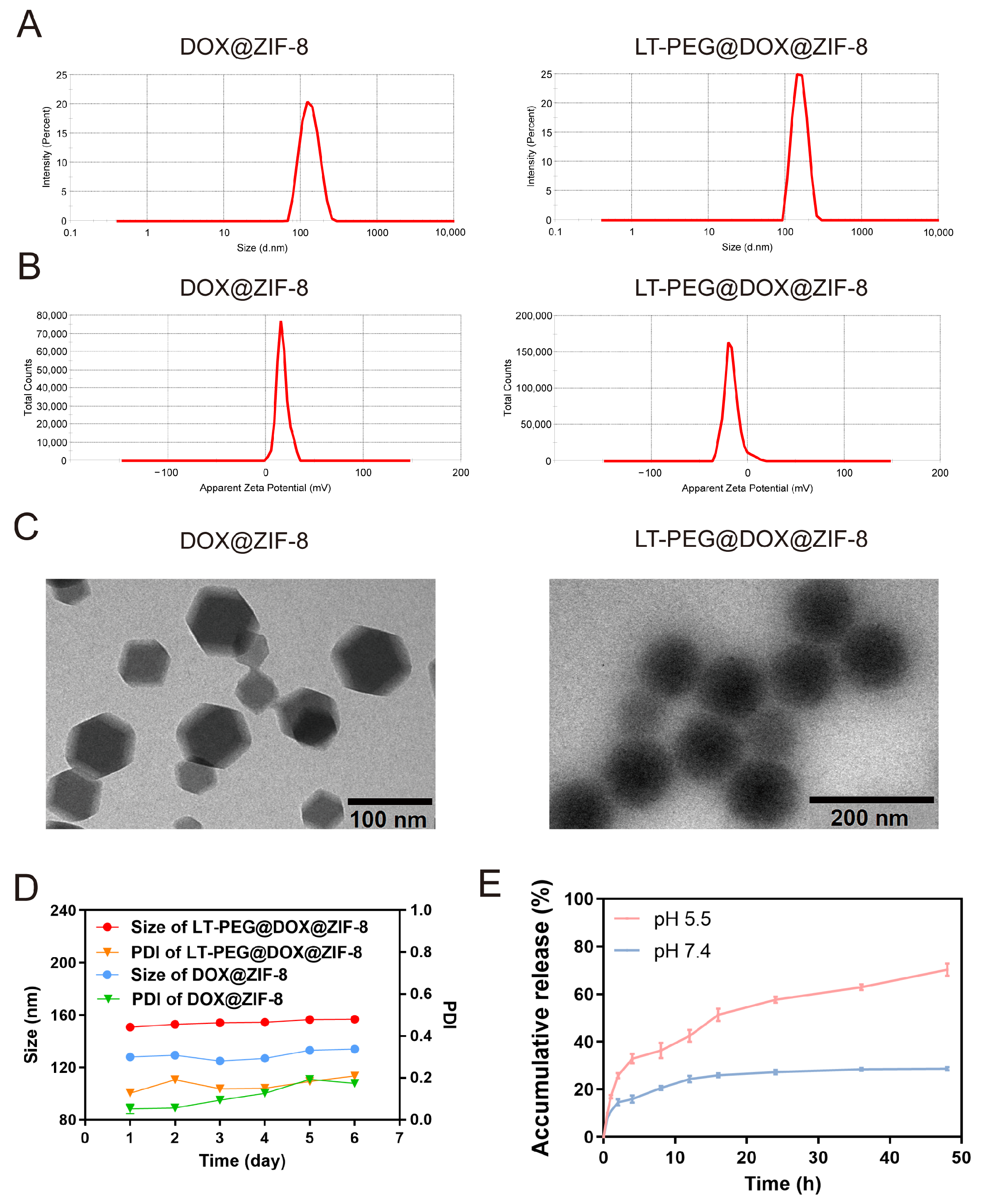 Pharmaceutics 17 00246 g002