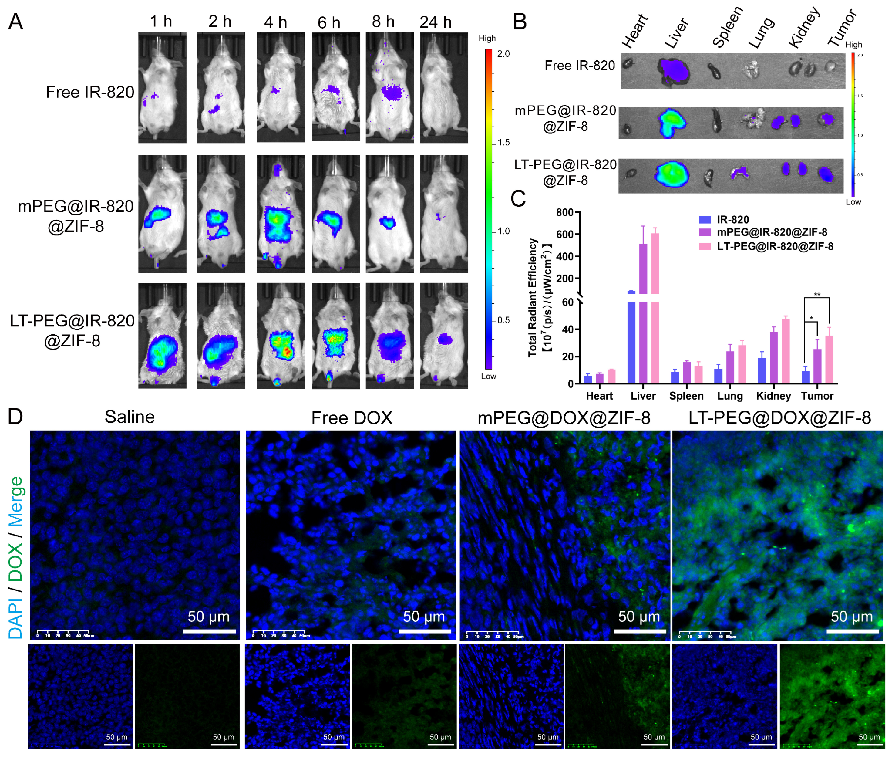 Pharmaceutics 17 00246 g006