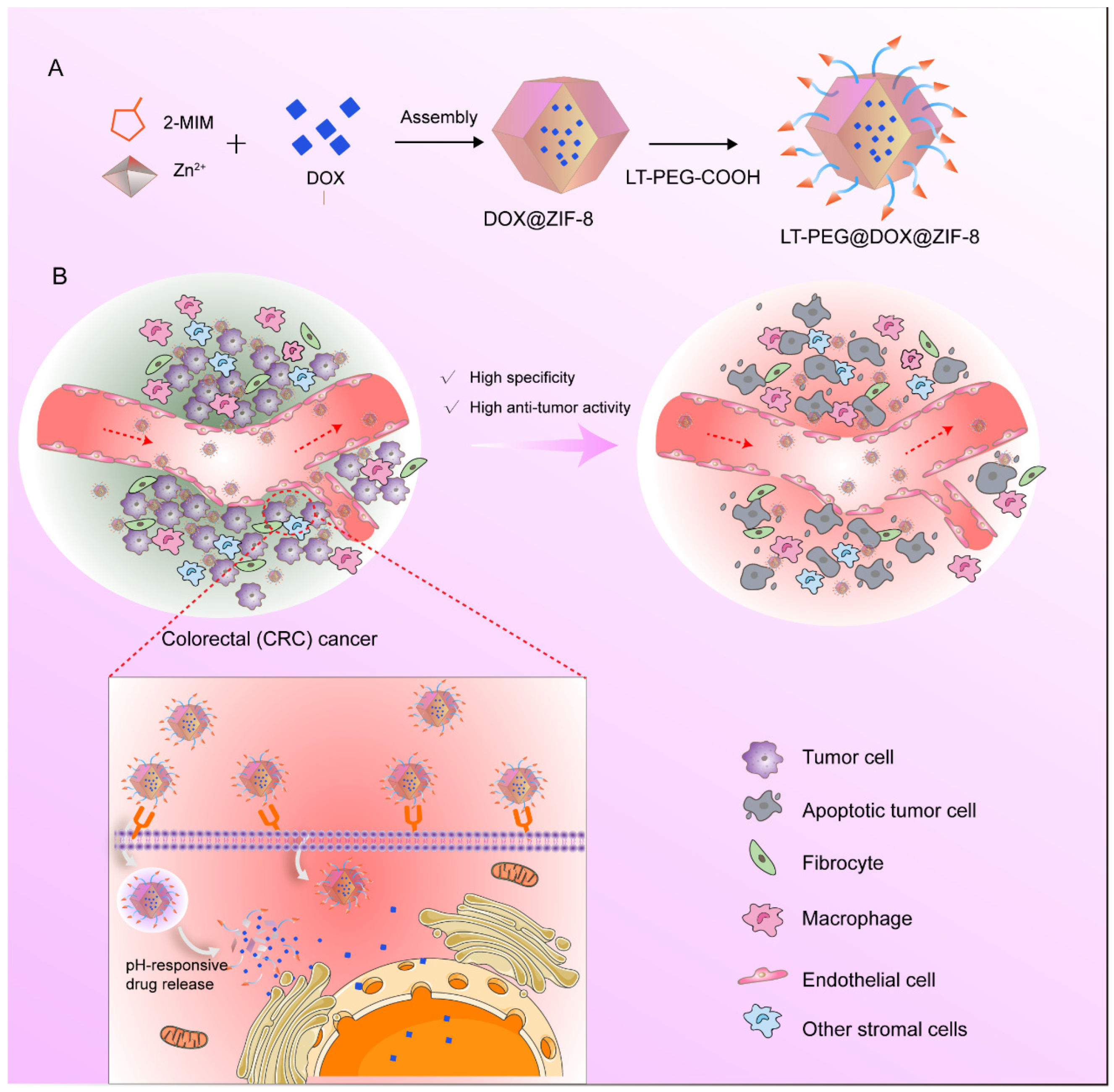 Pharmaceutics 17 00246 sch001