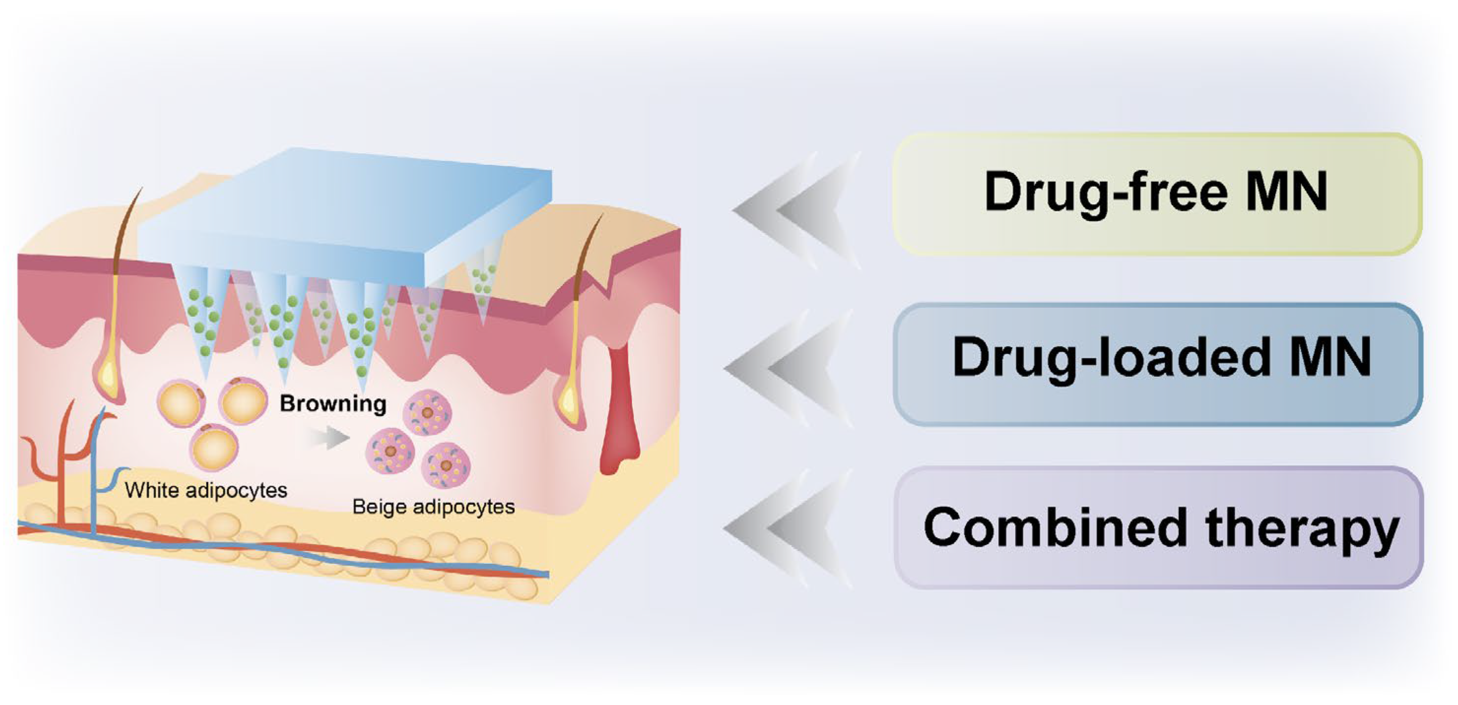 Pharmaceutics 17 00248 g001