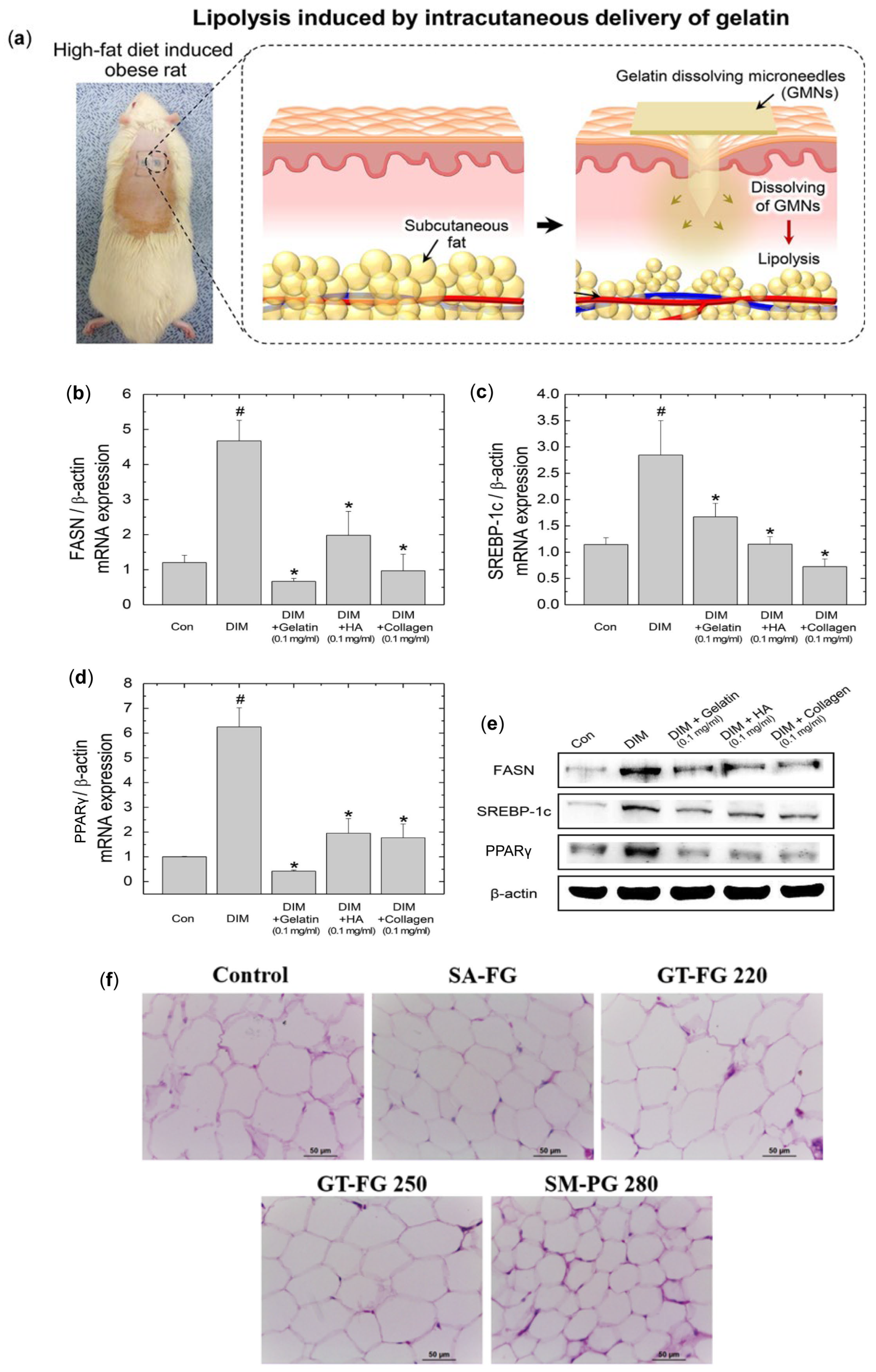 Pharmaceutics 17 00248 g002