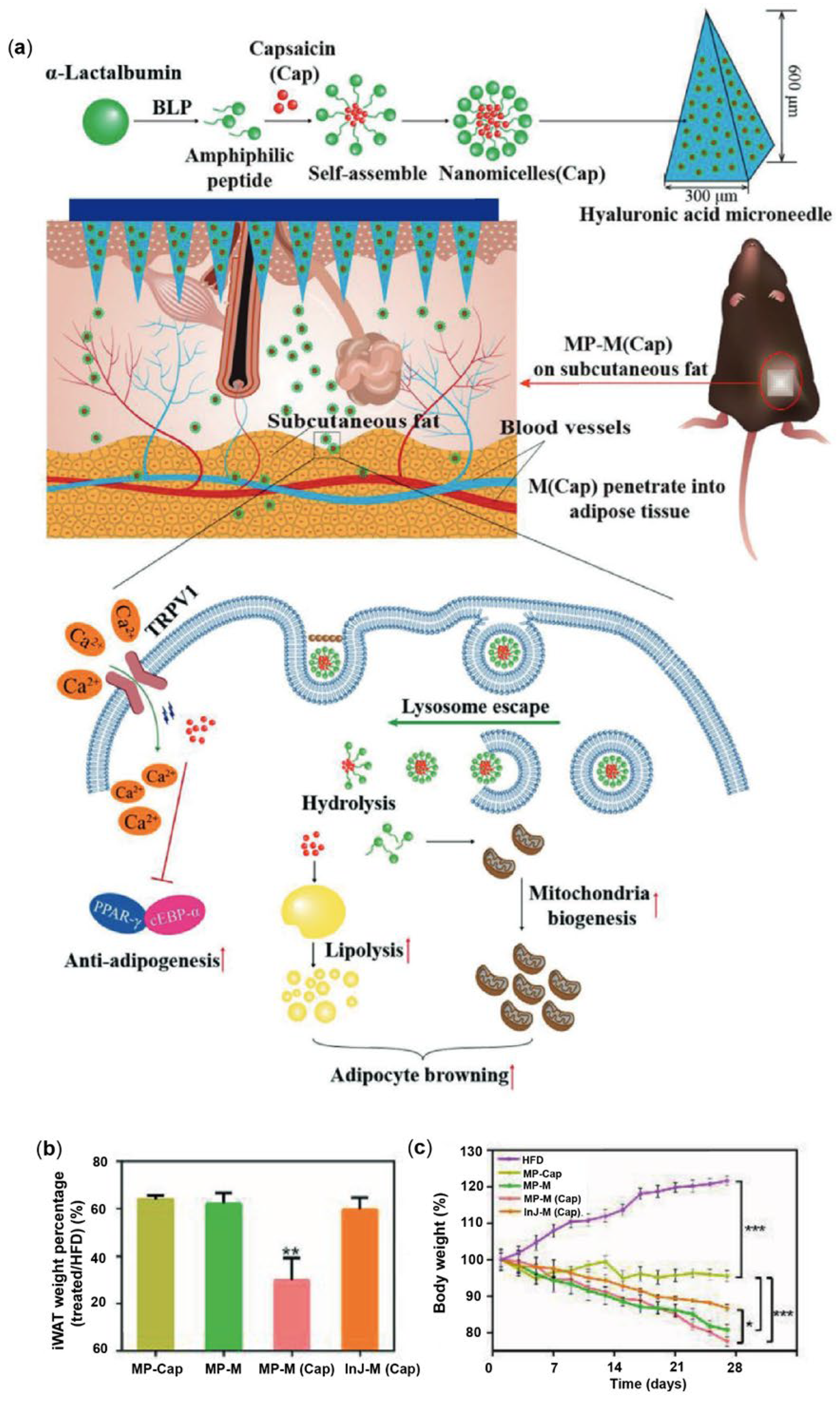 Pharmaceutics 17 00248 g003