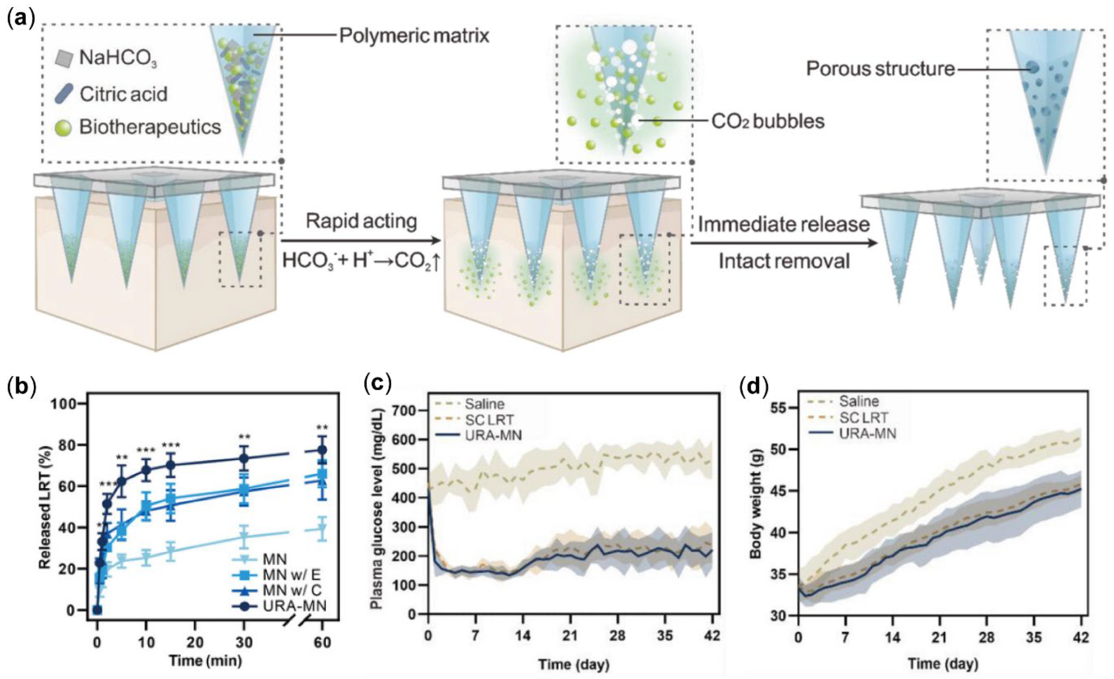 Pharmaceutics 17 00248 g007