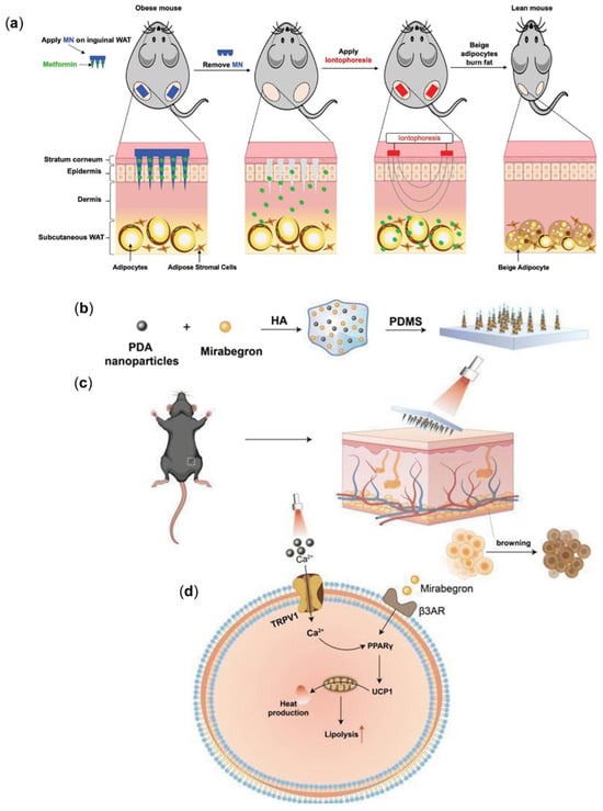 Pharmaceutics 17 00248 g008