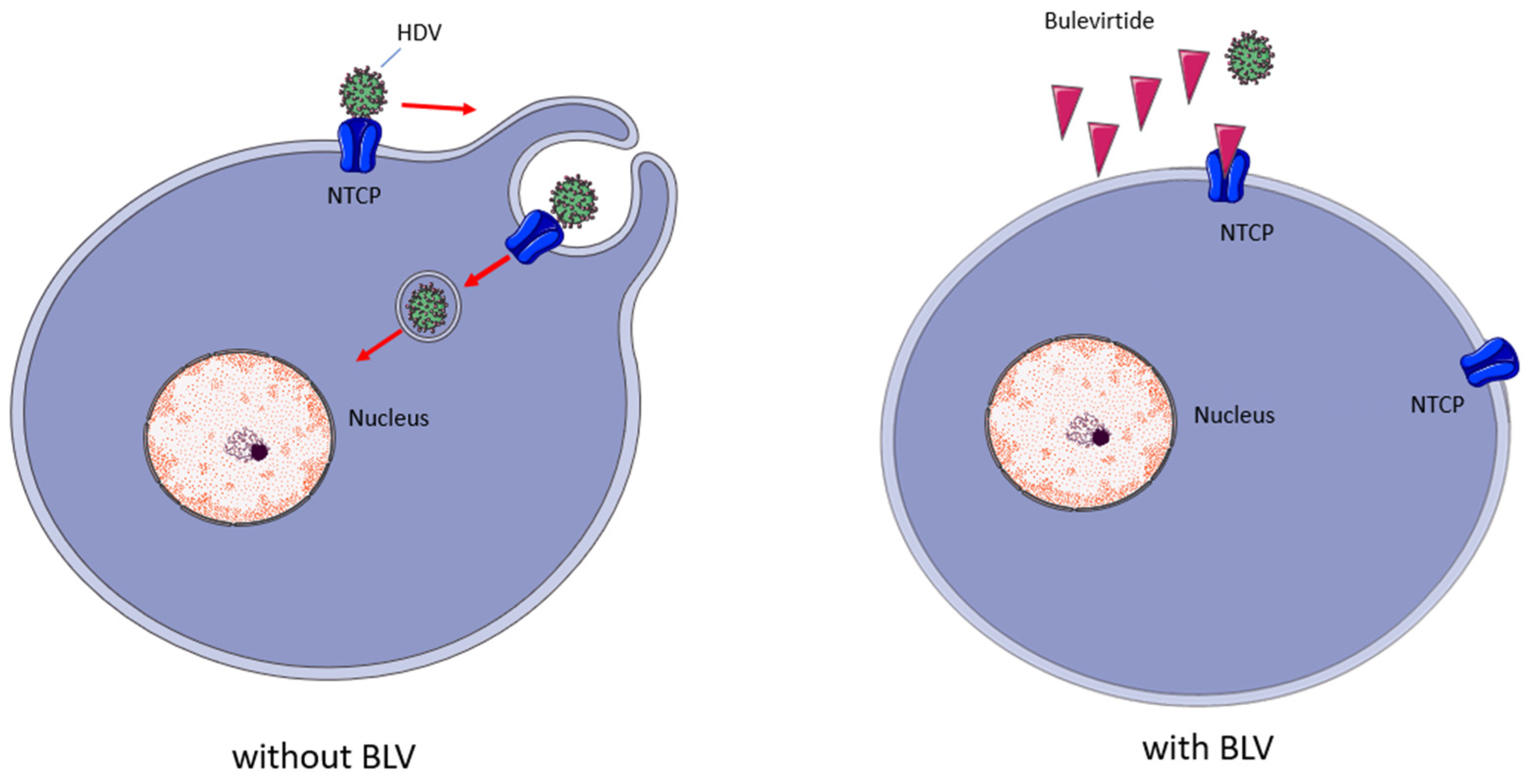 Pharmaceutics 17 00250 g003