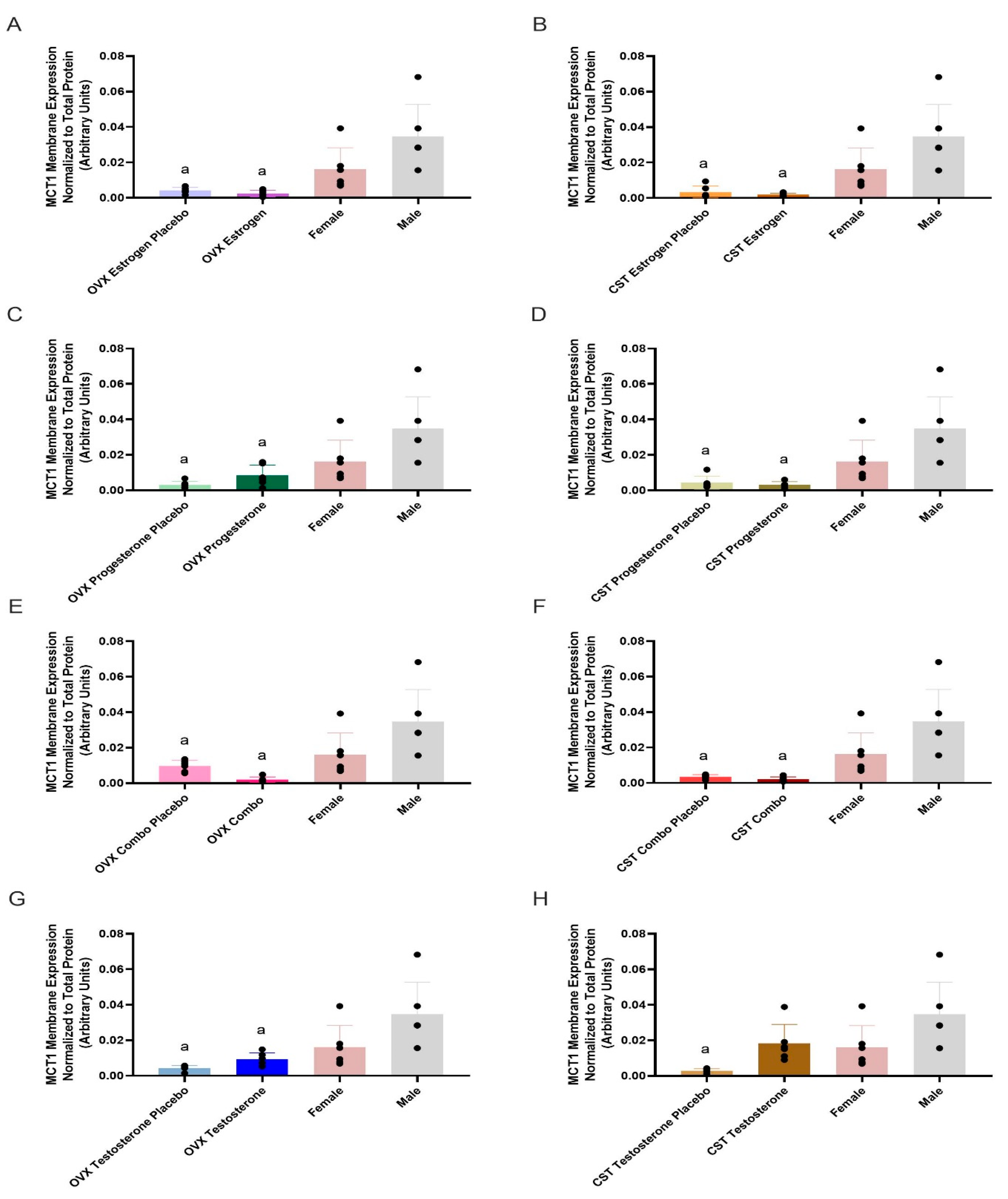 Pharmaceutics 17 00252 g001