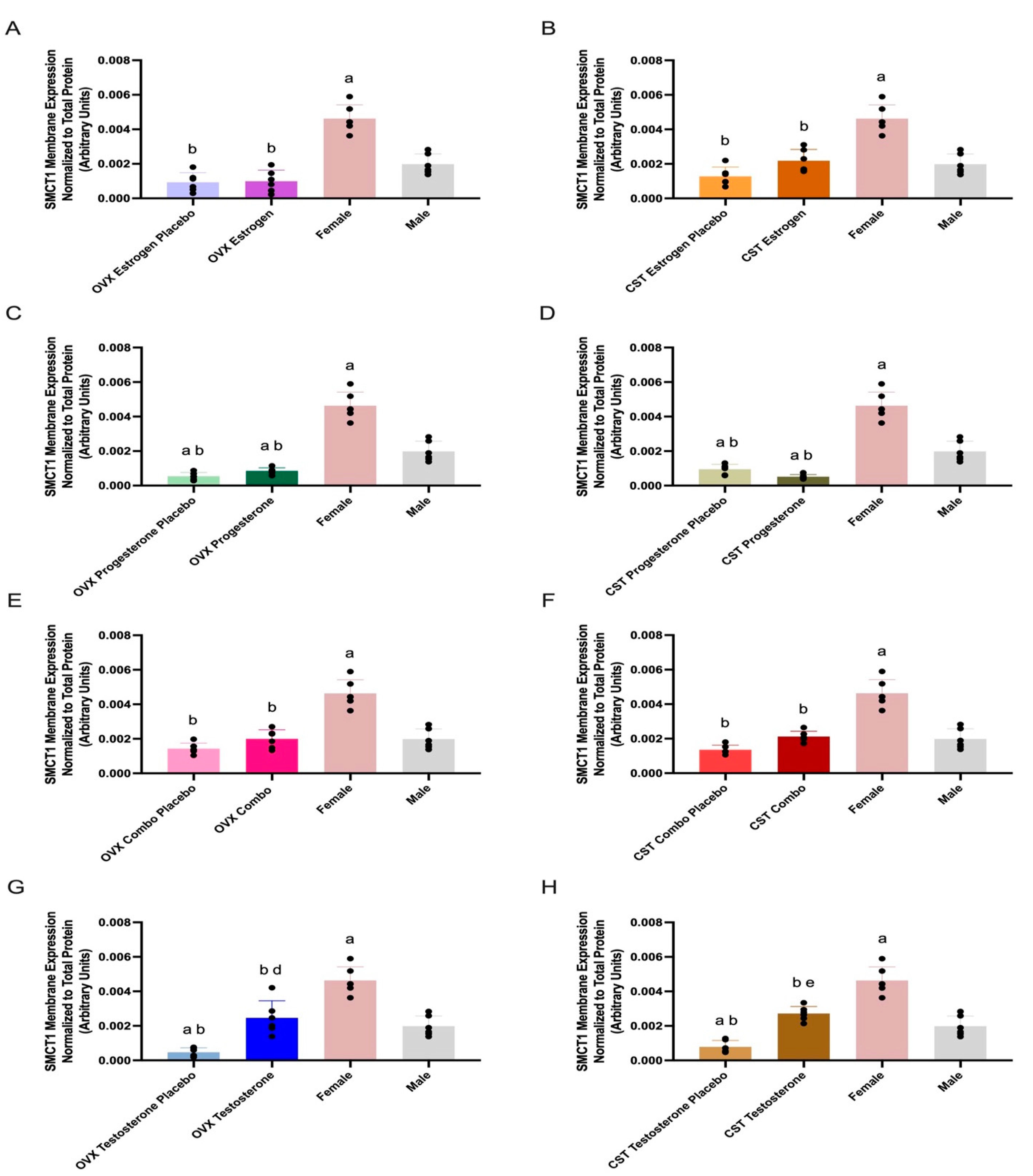 Pharmaceutics 17 00252 g003