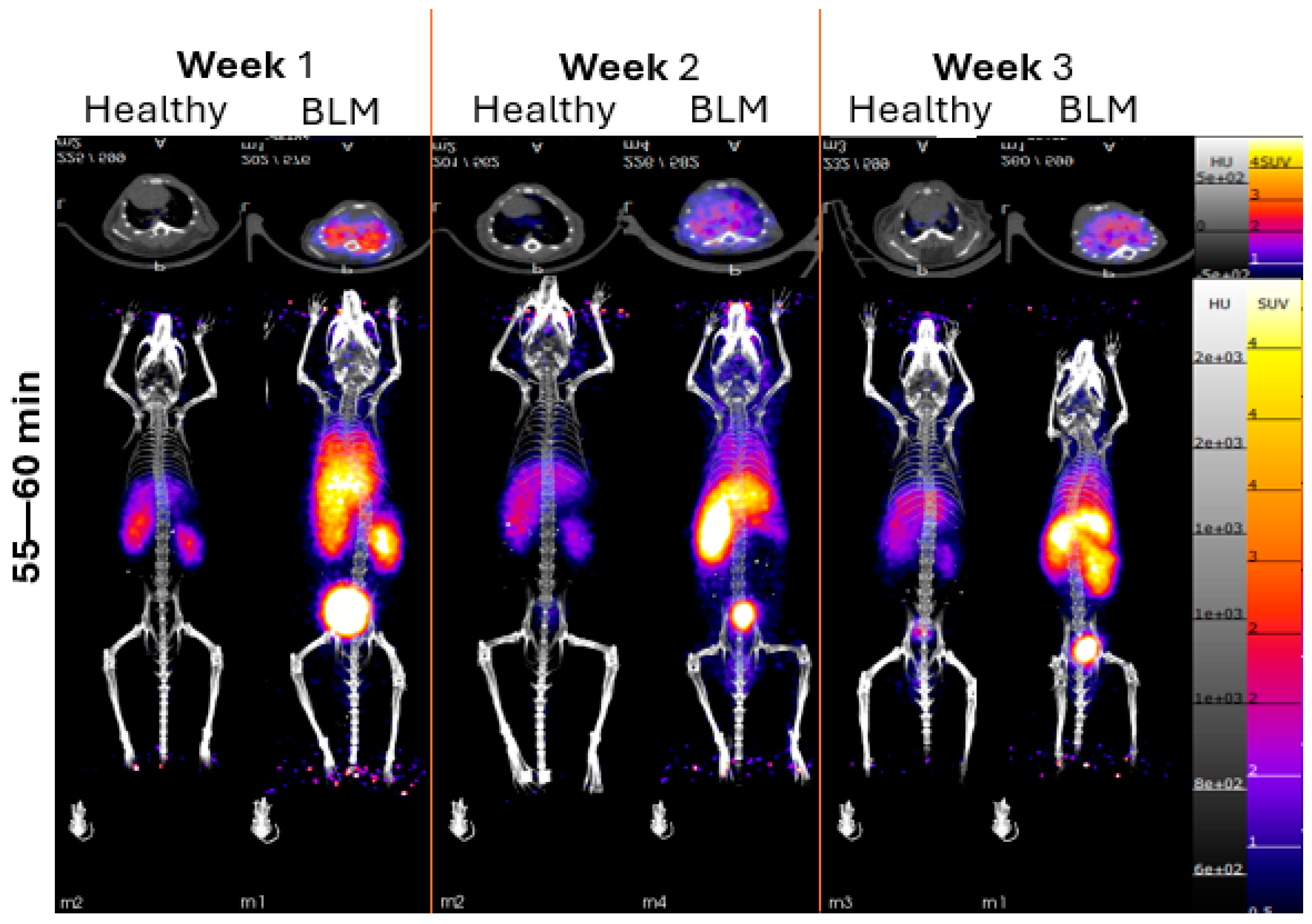 Pharmaceutics 17 00253 g003