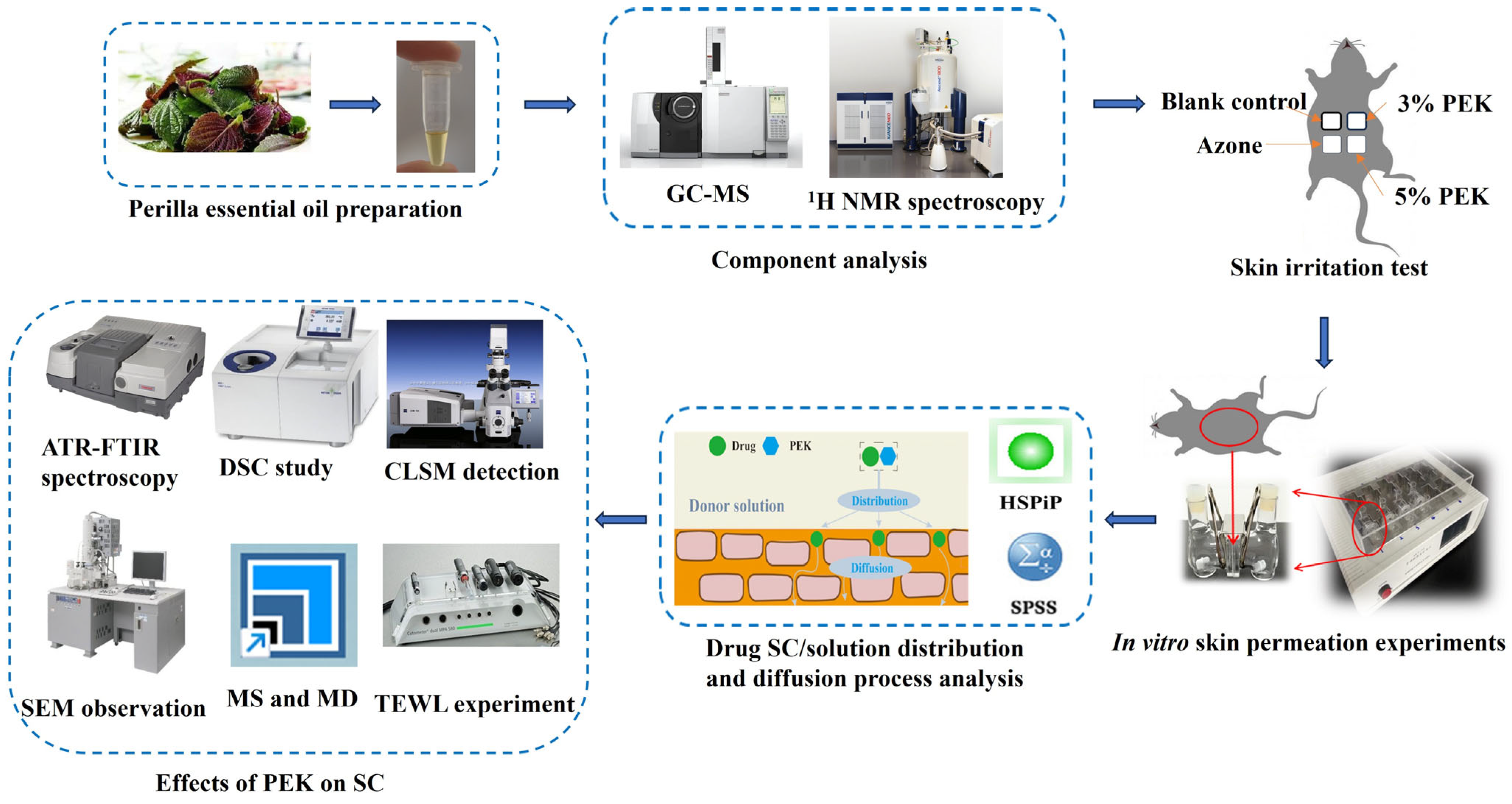 Pharmaceutics 17 00254 g002