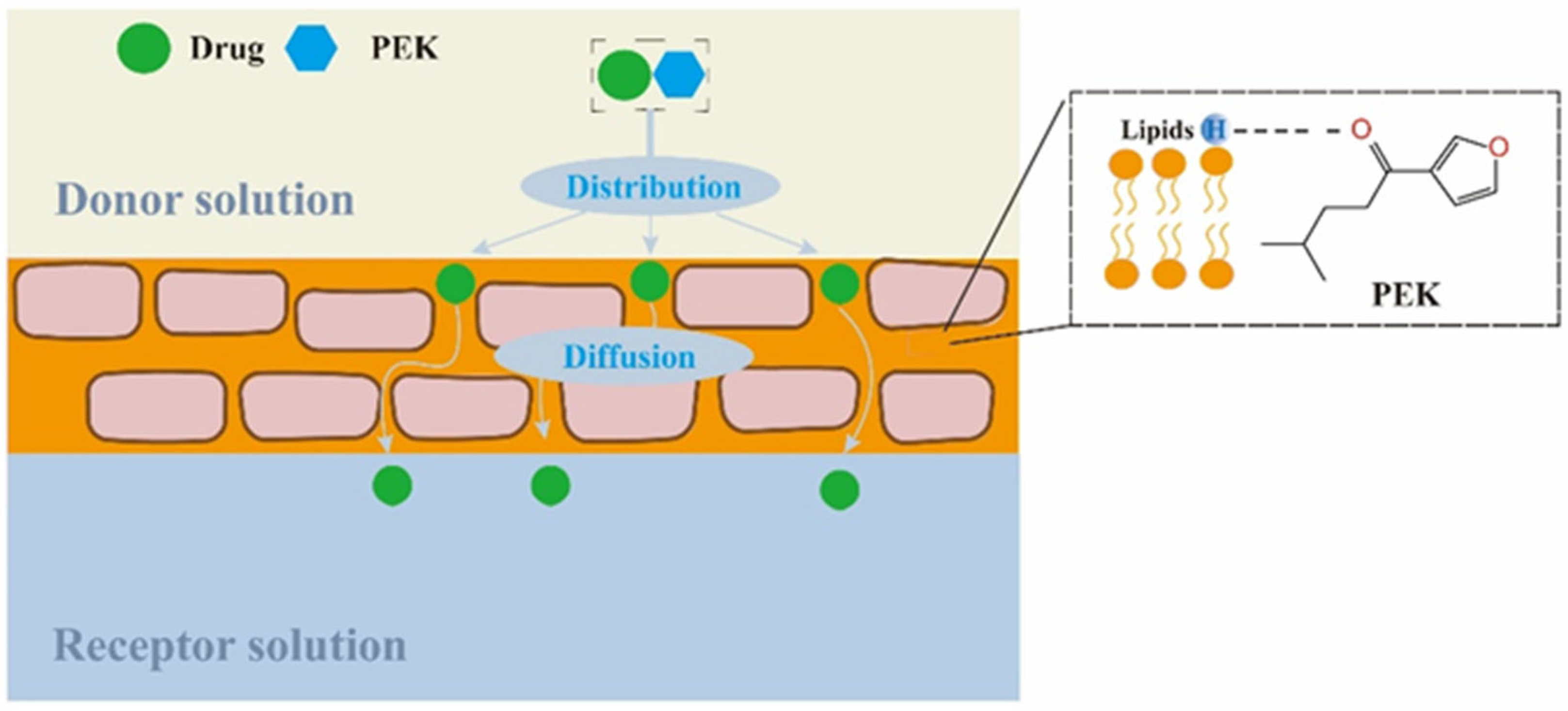 Pharmaceutics 17 00254 g010