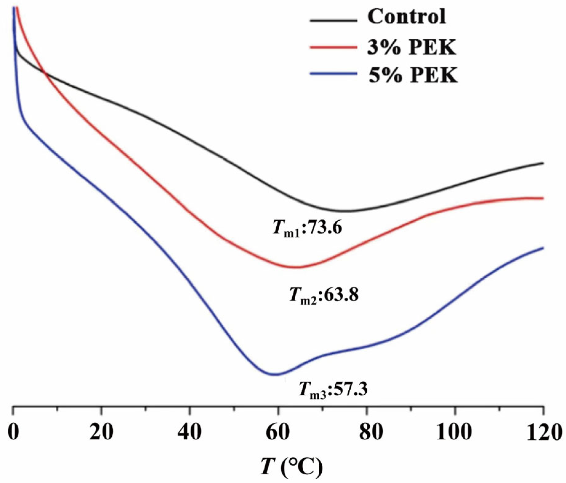 Pharmaceutics 17 00254 g012