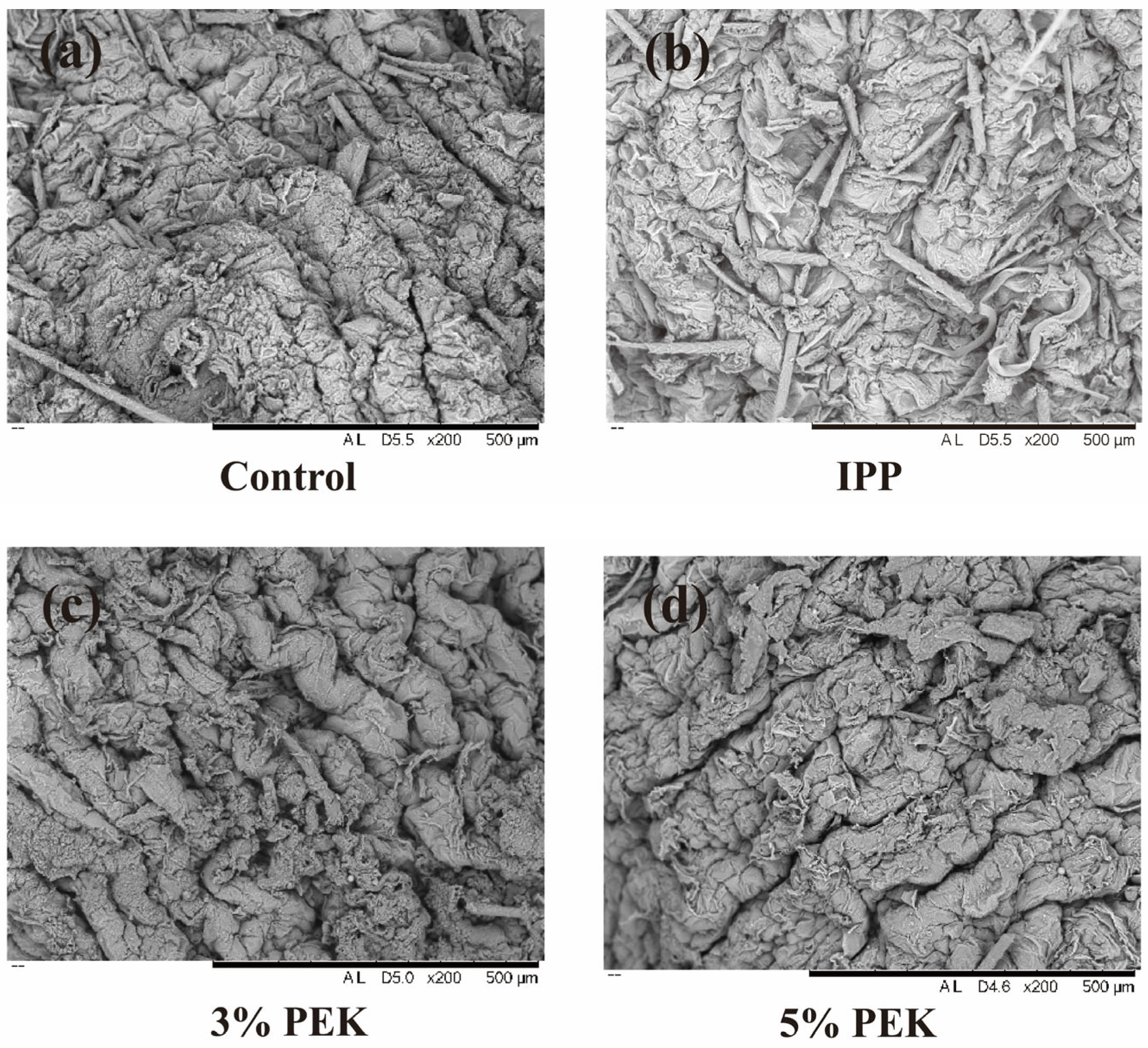 Pharmaceutics 17 00254 g014