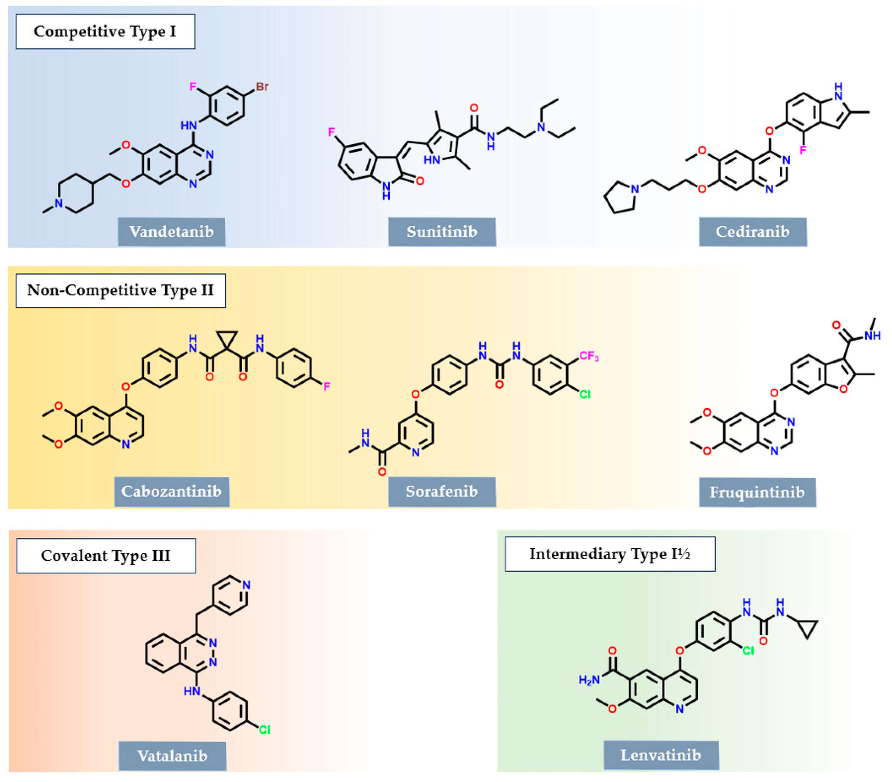 Pharmaceutics 17 00260 g001