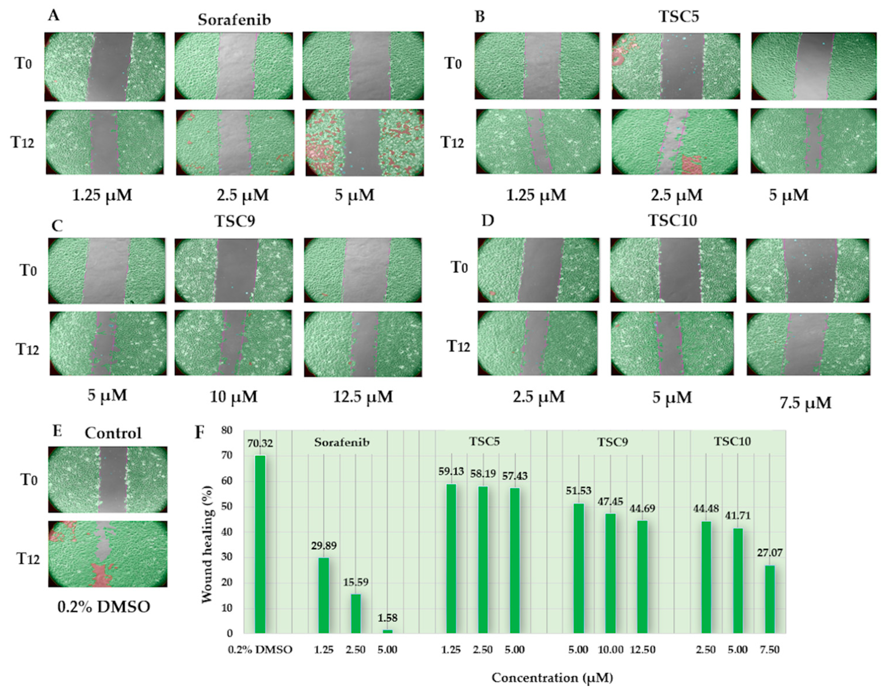 Pharmaceutics 17 00260 g003