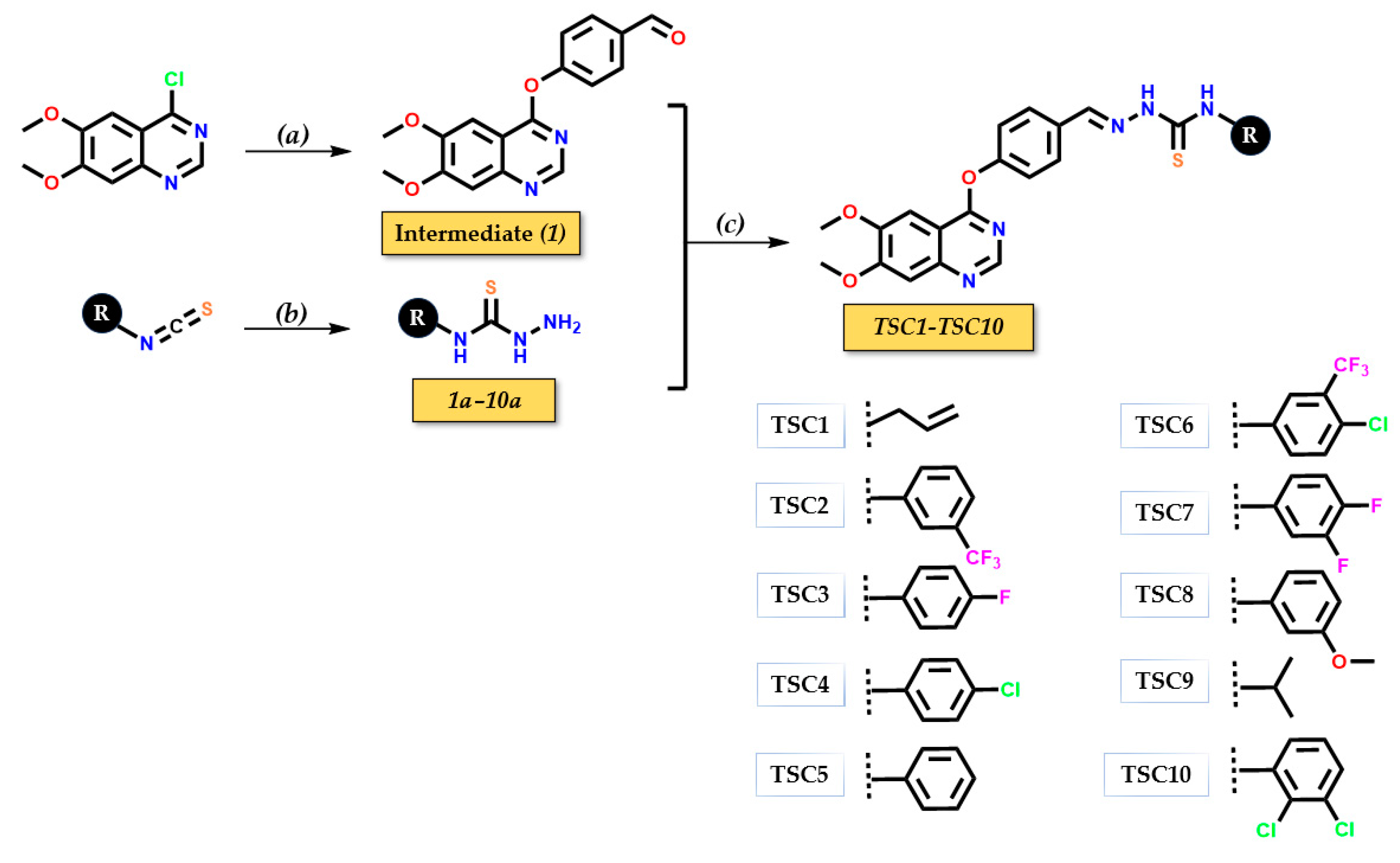 Pharmaceutics 17 00260 sch001
