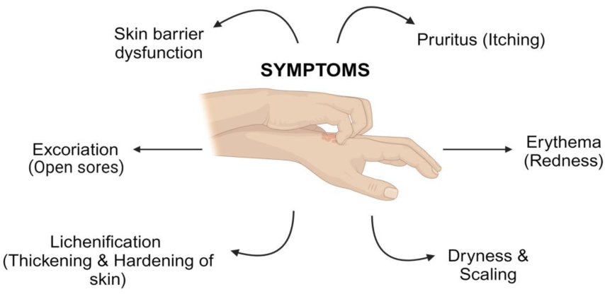 Pharmaceutics 17 00261 g001