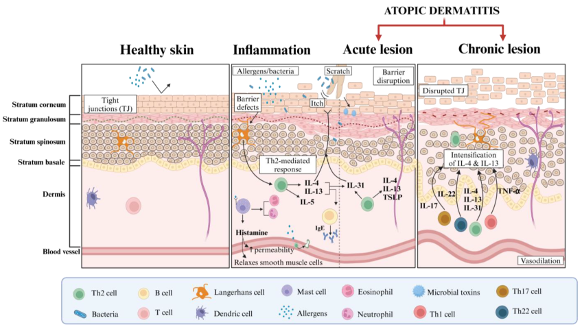Pharmaceutics 17 00261 g002
