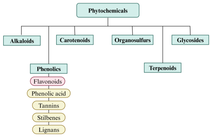 Pharmaceutics 17 00261 g003