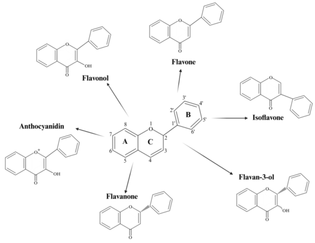 Pharmaceutics 17 00261 g005