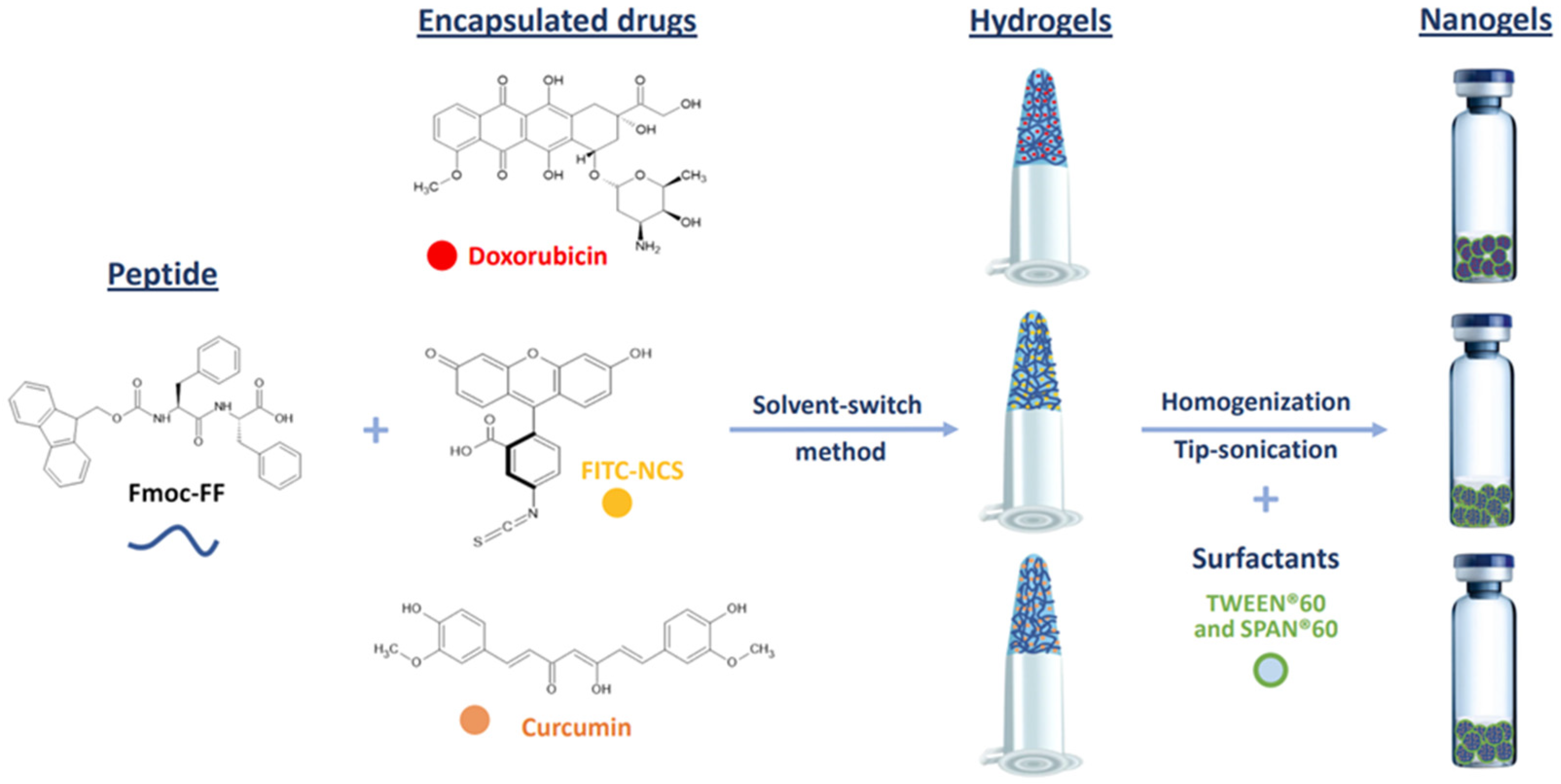 Pharmaceutics 17 00263 g001