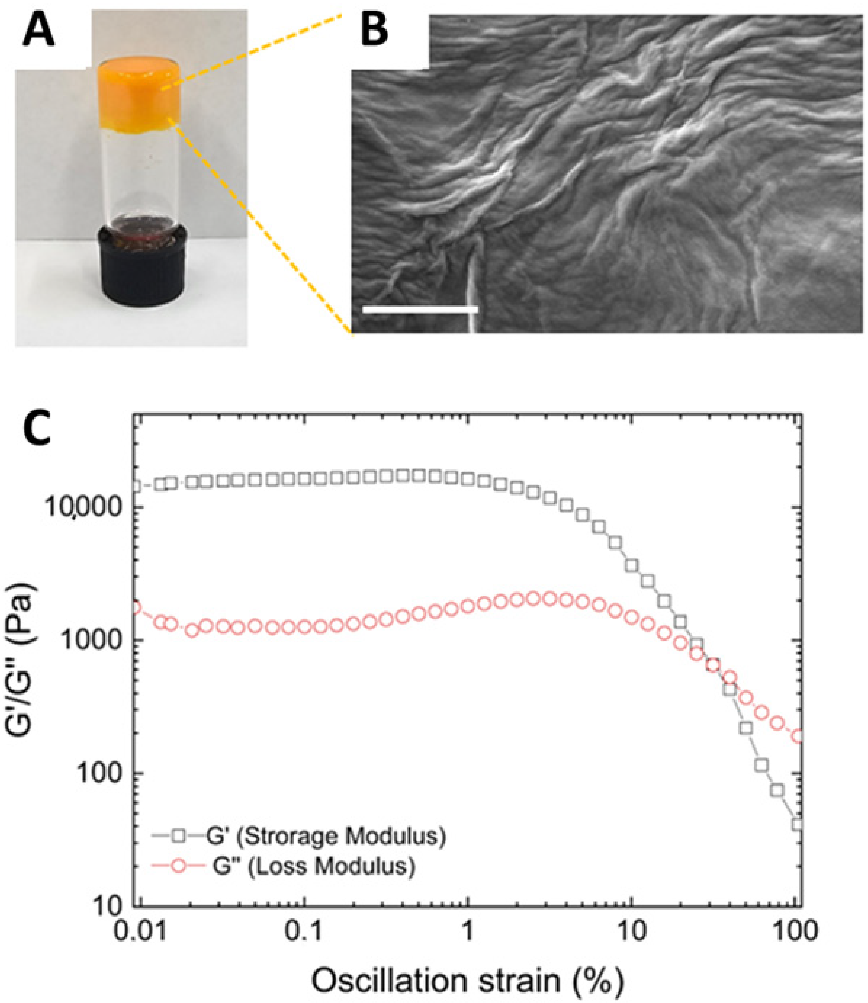 Pharmaceutics 17 00263 g002