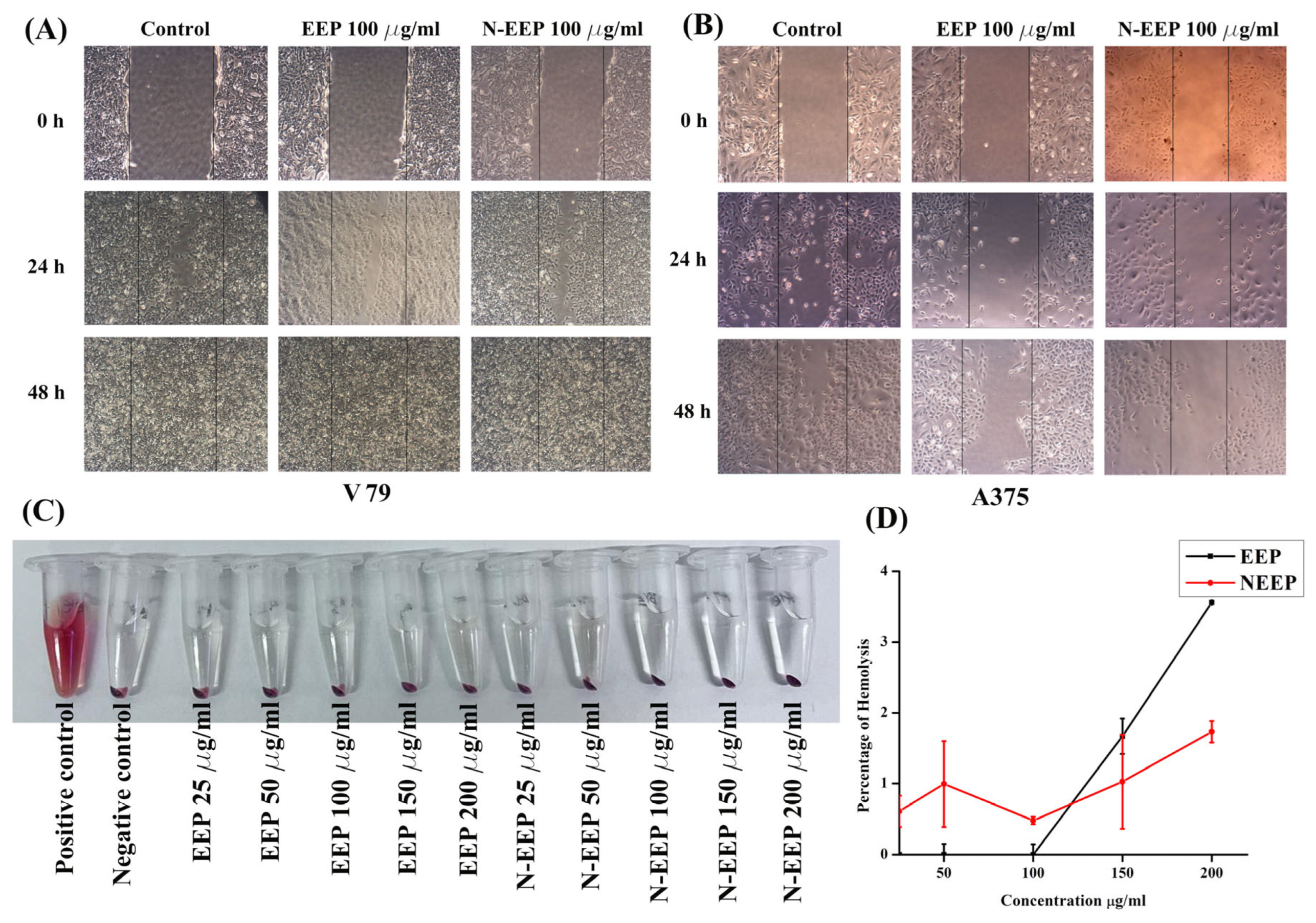 Pharmaceutics 17 00270 g001