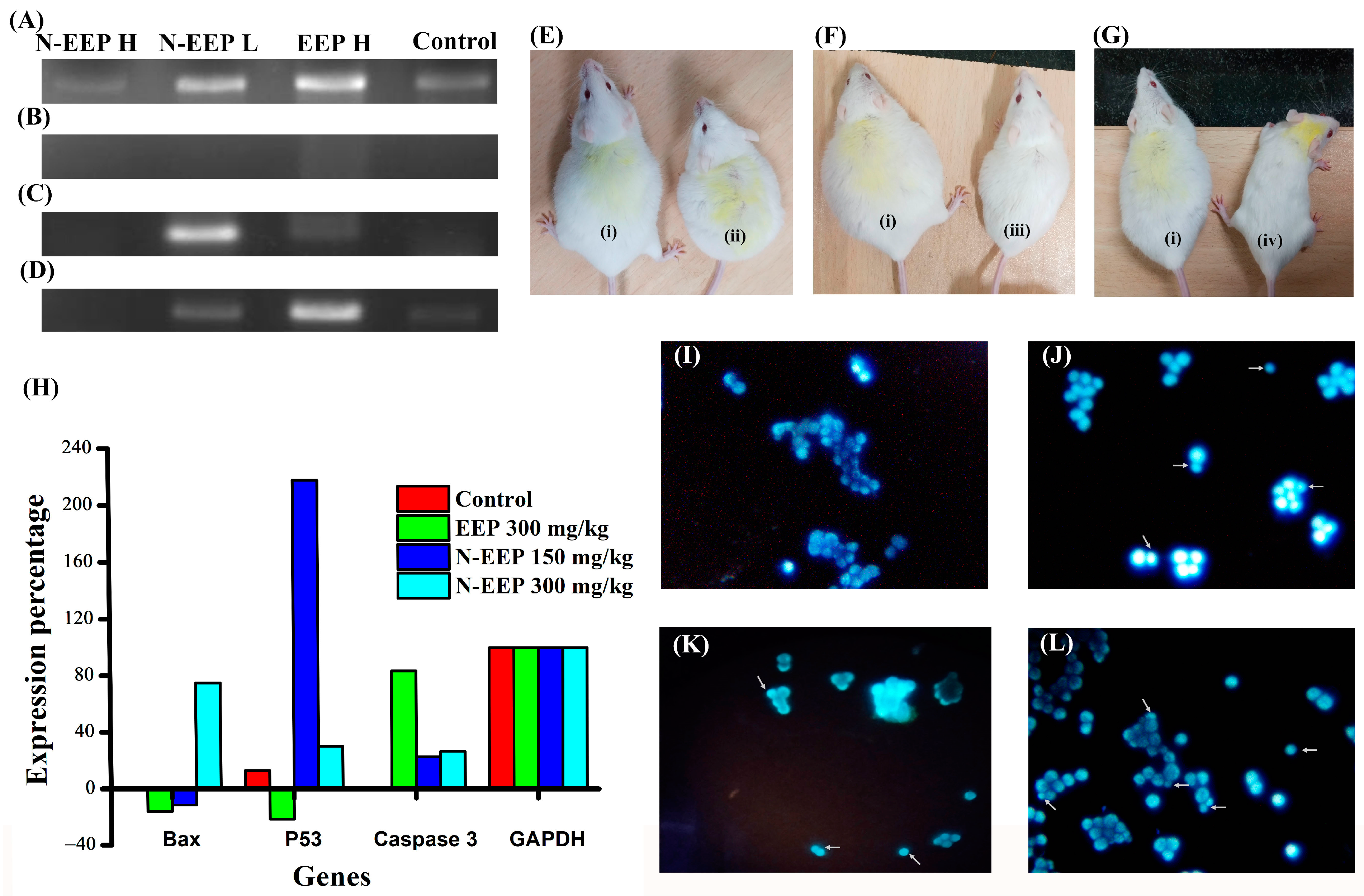 Pharmaceutics 17 00270 g003