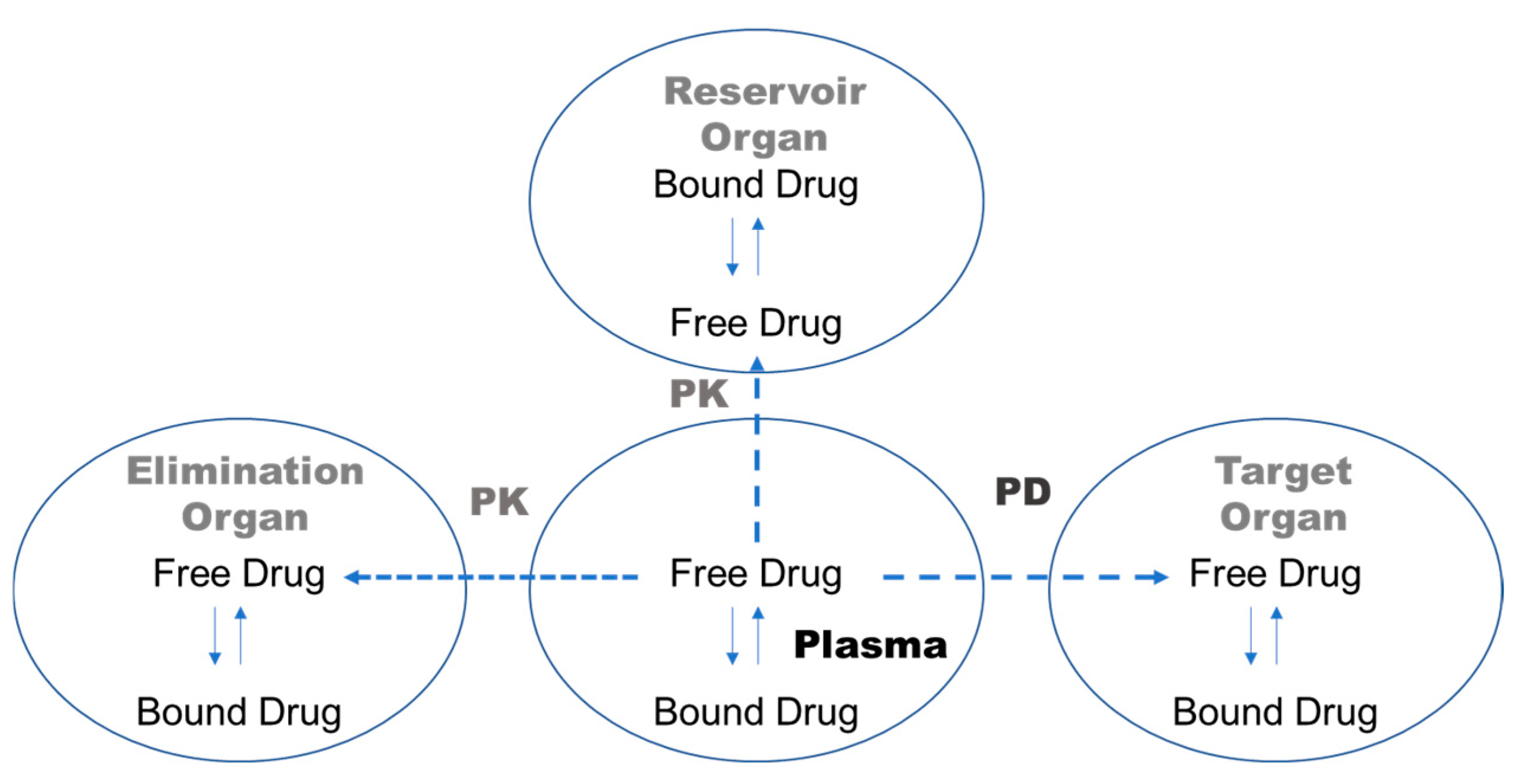 Pharmaceutics 17 00273 g001 Pharmaceutics 17 00273 g001